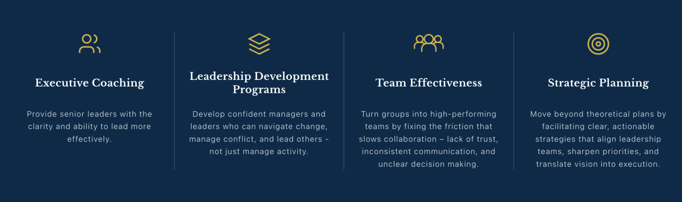 A digital infographic detailing four leadership development services: Executive Coaching, Leadership Development Programs, Team Effectiveness, and Strategic Planning, each with a brief description, set against a dark blue background with icons.