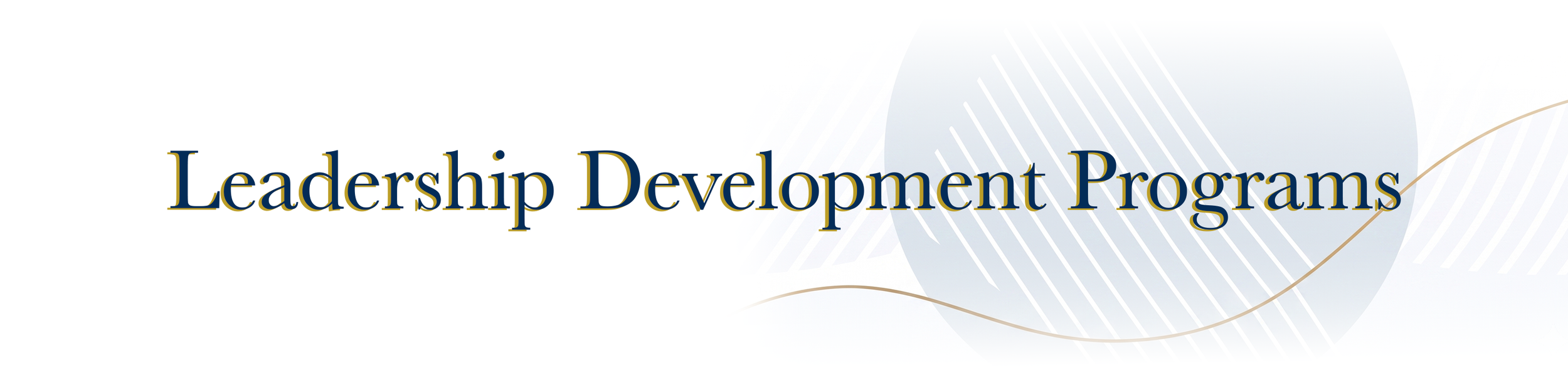 Text reading 'Leadership Development Programs' on a light gray background with abstract circular graphic design elements.