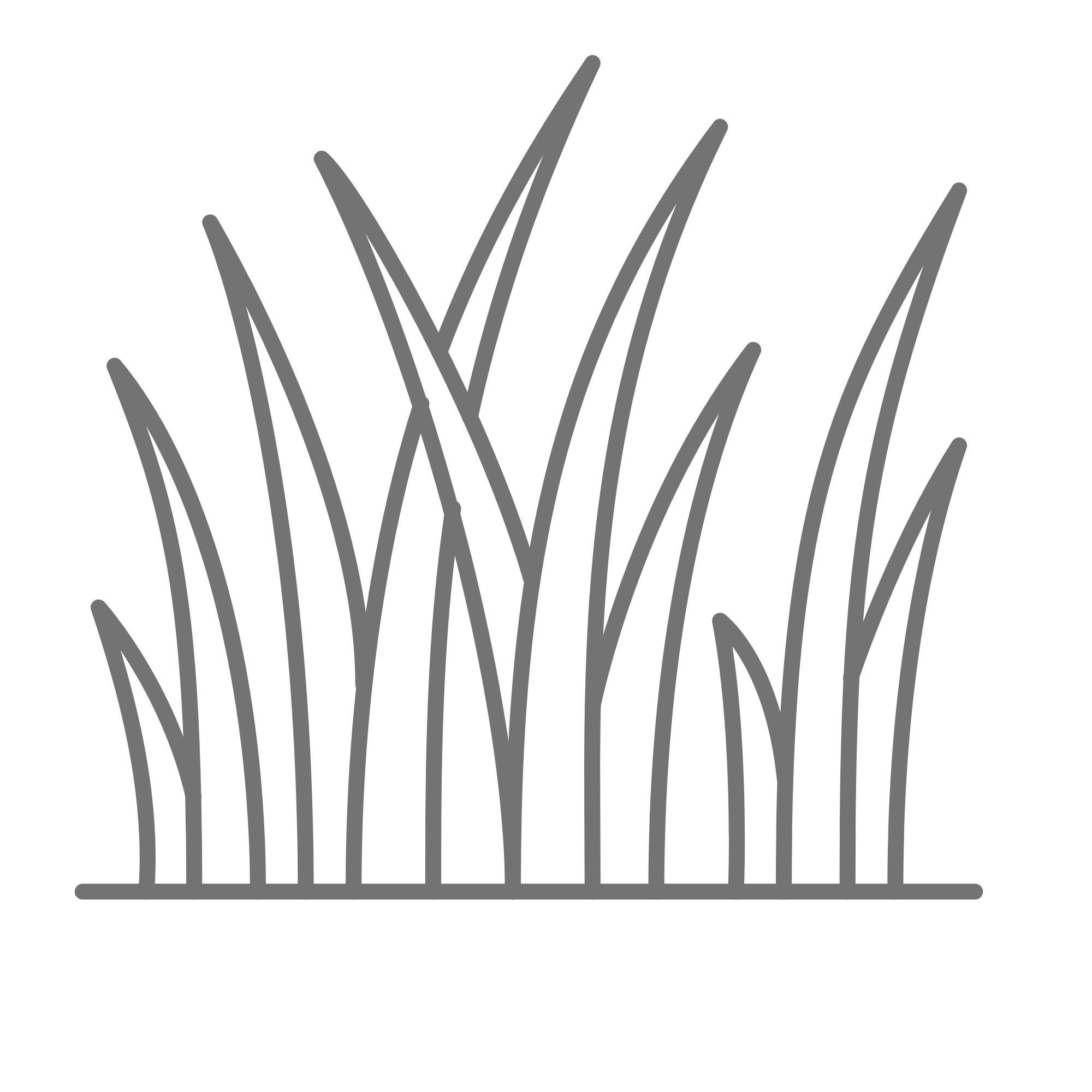 Illustration of a potted plant with long, thin leaves.