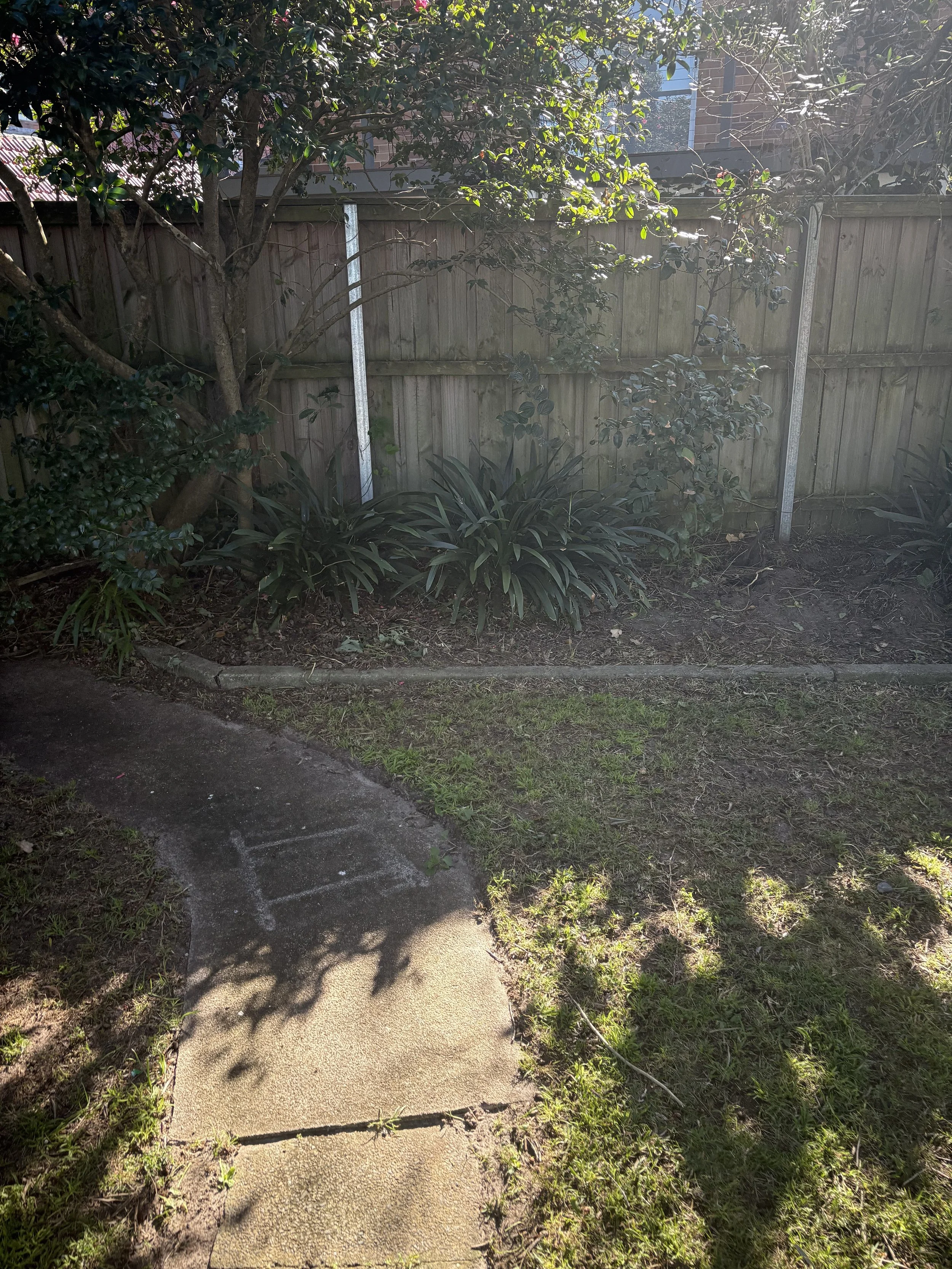 A concrete pathway in a garden with grass and plants on either side, a wooden fence in the background, and trees providing partial shade.