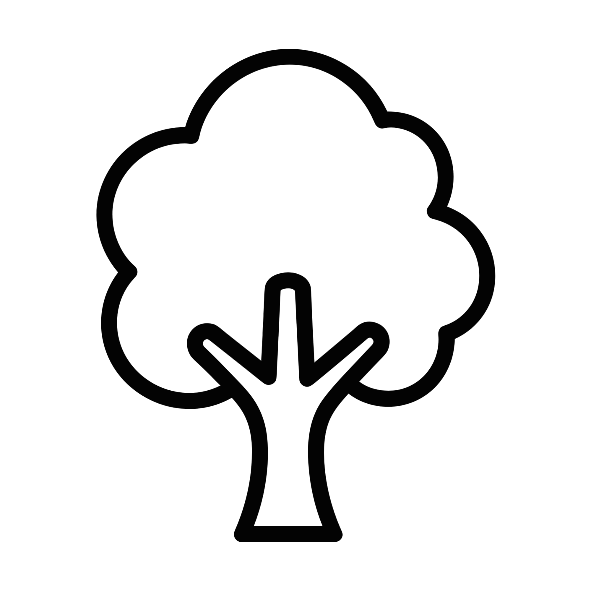 Outline of a tree
