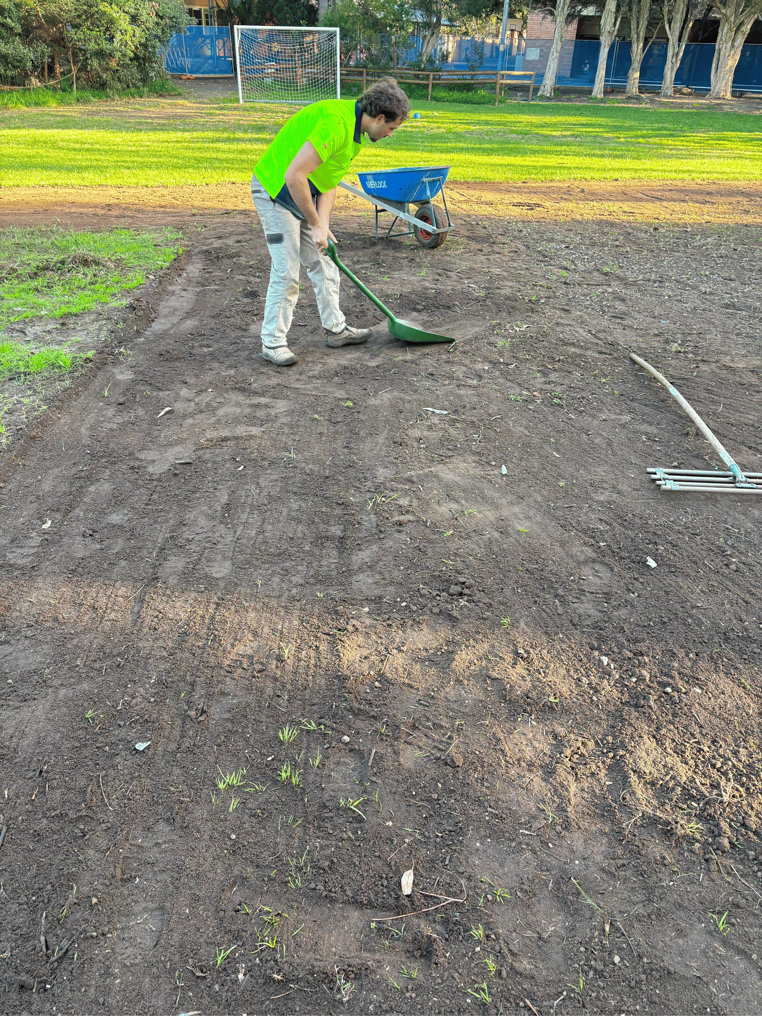 A man wearing a bright green shirt and beige pants is planting small green seedlings in a garden bed with dark soil. There is a wheelbarrow and gardening tools nearby. The background shows a grassy area, trees, a soccer goal, and a building.