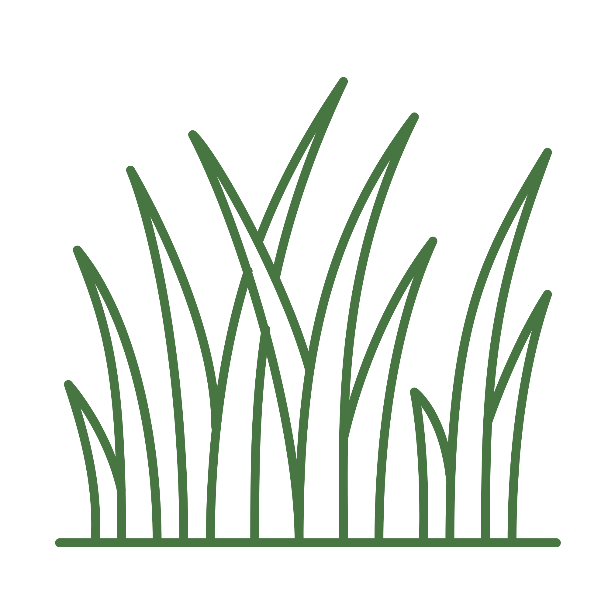 Illustration of green grass blades with white background