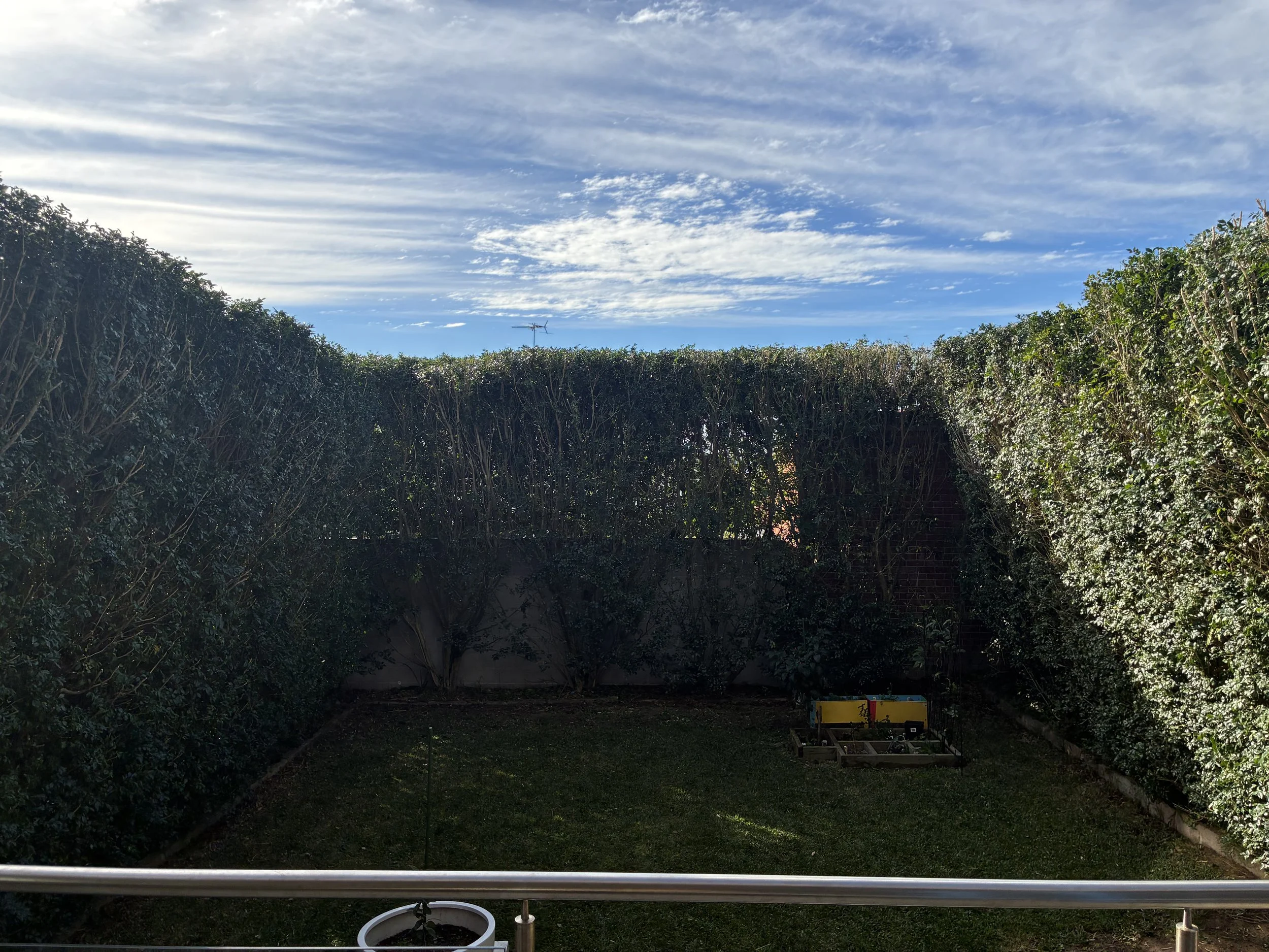 Backyard with tall green hedges, a cloudy sky, and gardening tools and supplies near the fence.