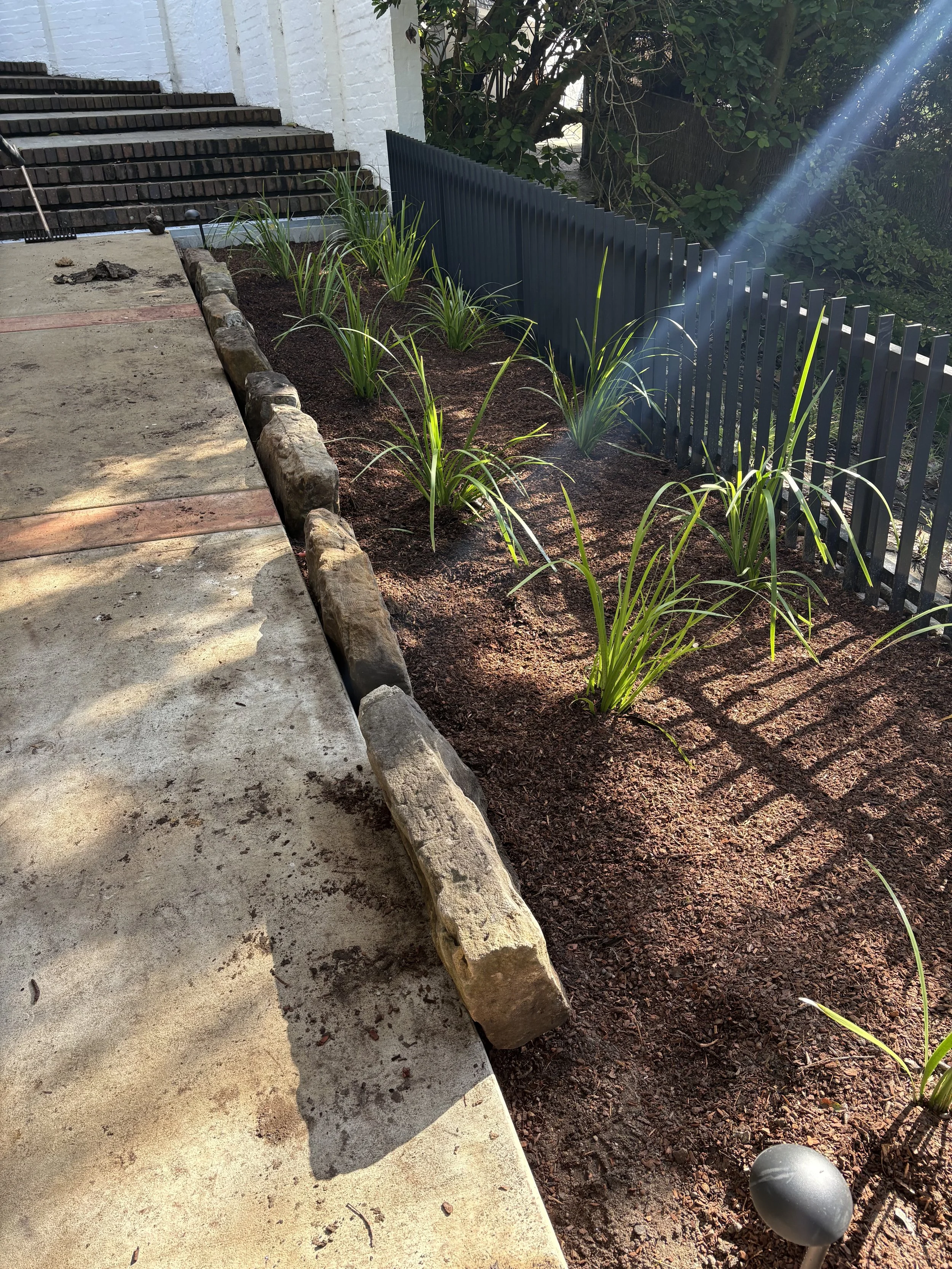 A garden bed with young plants along a black metal fence, a concrete patio with a stone border and some gardening tools, and a white brick building with stairs in the background, sunlight shining through trees.