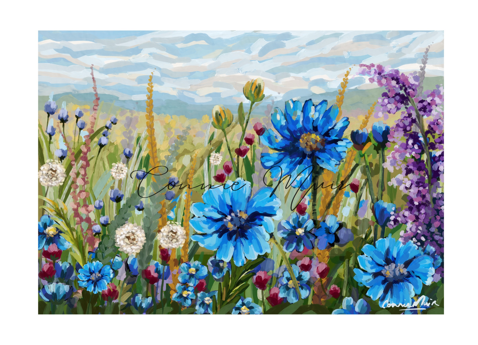 Wildflower Meadow - Watermarked.png
