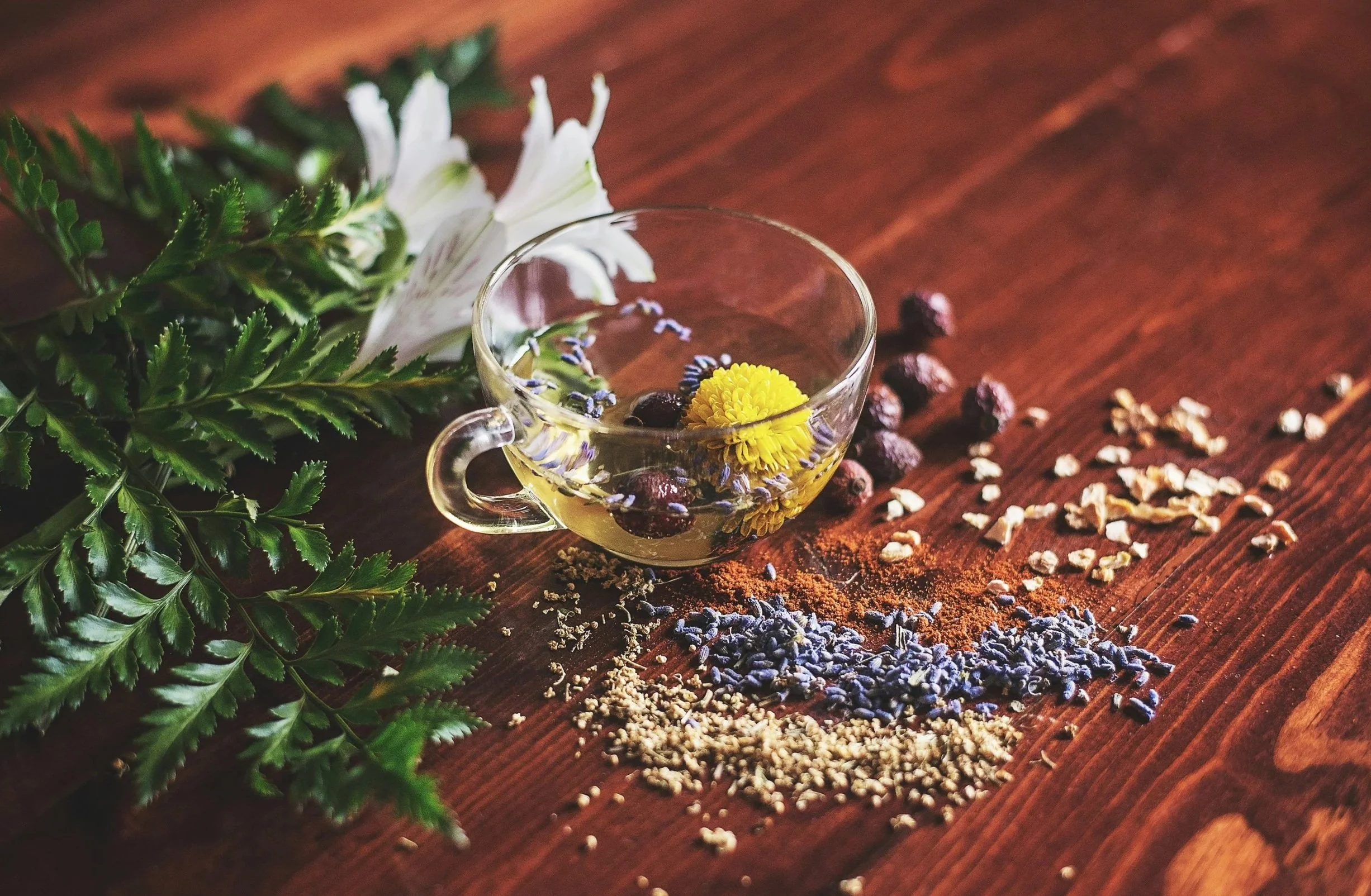 A glass cup filled with herbal tea, surrounded by dried herbs, flowers, and spices on a wooden surface, with green foliage on the left.