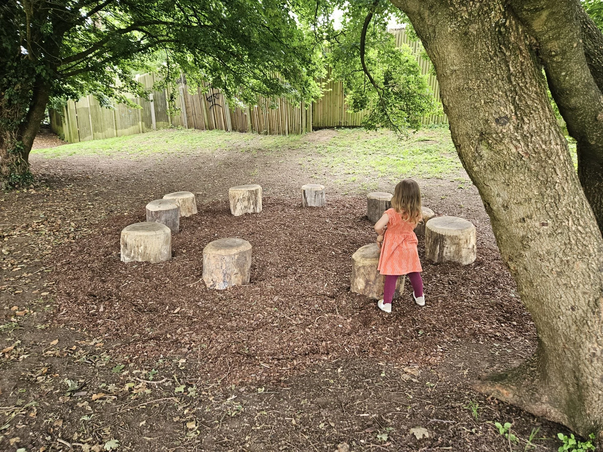 A young girl with blonde hair in a ponytail, wearing an orange dress and purple tights, sitting on a large tree stump in a wooded park area. There are several other tree stumps arranged in a semicircle and a wooden fence in the background, with lush 