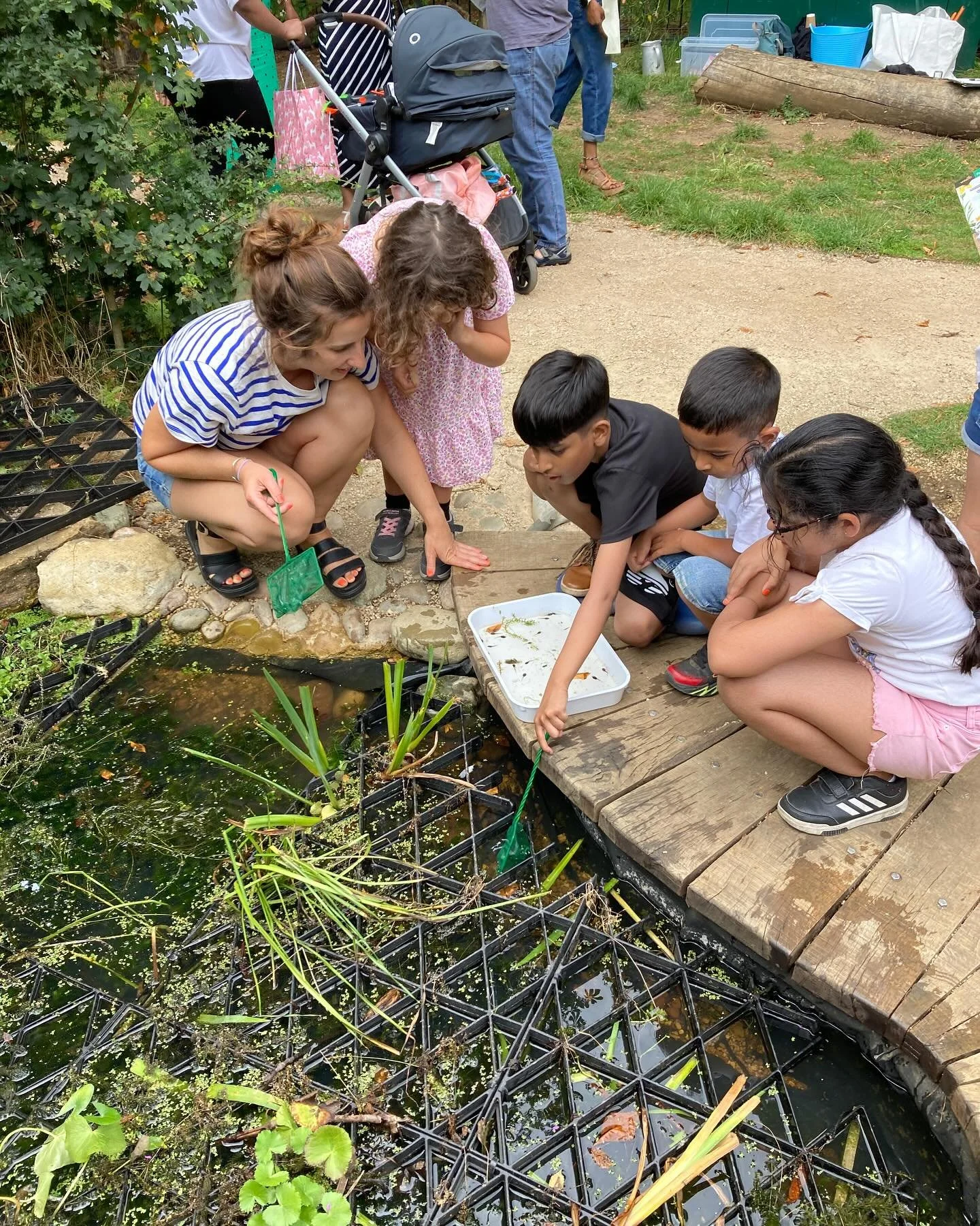 Children and an adult gathering around a small pond with aquatic plants, looking at the water. The pond has a black grid structure and is surrounded by a wooden dock. There are trees and outdoor items in the background.