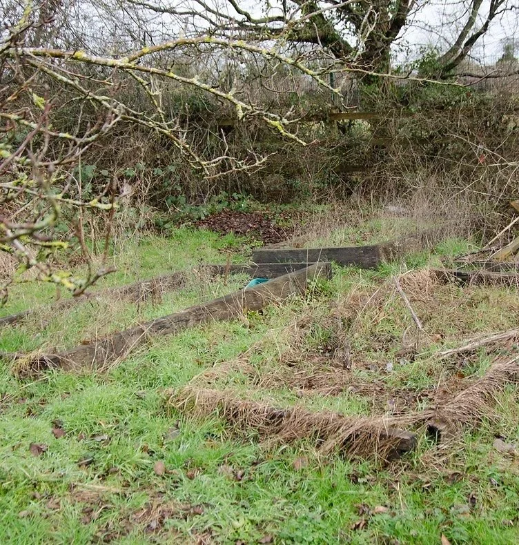 Overgrown, abandoned garden area with broken wooden logs, dry grass, leafless trees, and bushes.