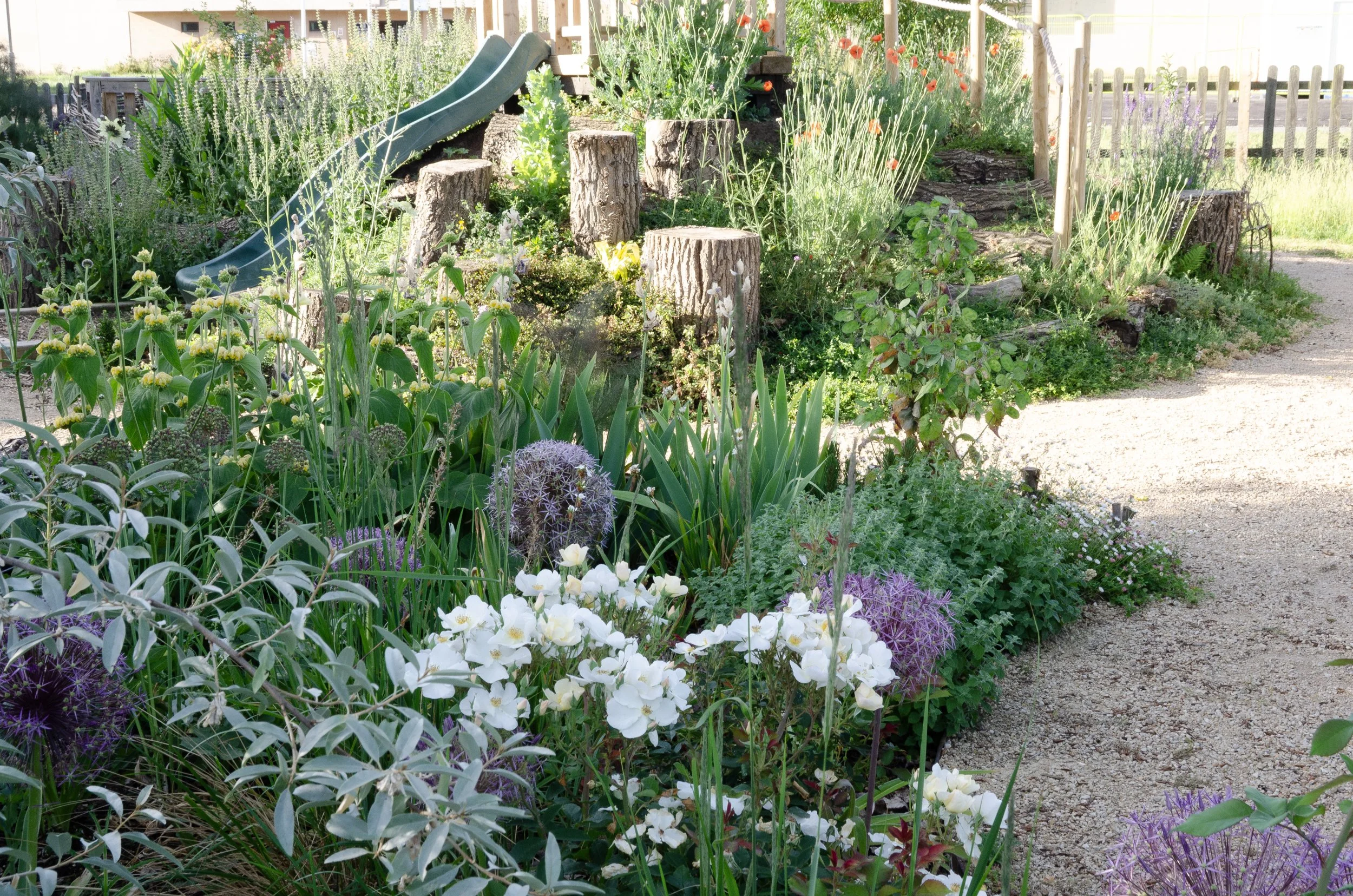 A vibrant garden with a variety of flowers and plants, including white, purple, and yellow blossoms. There are tree stumps and a dirt pathway on the right side, with a small slide structure visible in the background.