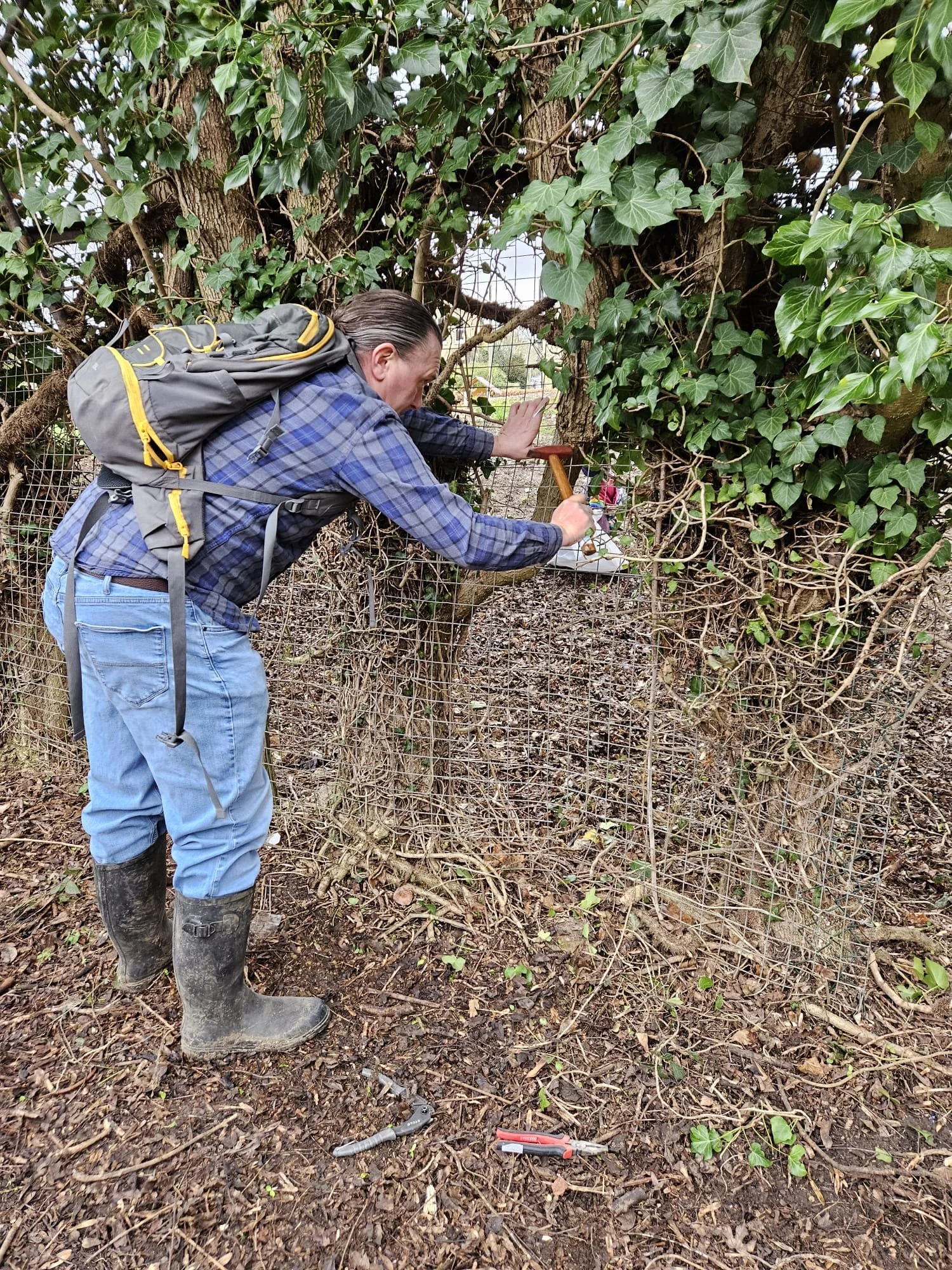 A man wearing a plaid shirt, jeans, and rubber boots is working outdoors near a tree with dense green ivy. He is using a hammer and pliers on the fence in front of the tree, possibly repairing or securing it. The ground is covered with dirt and dry l