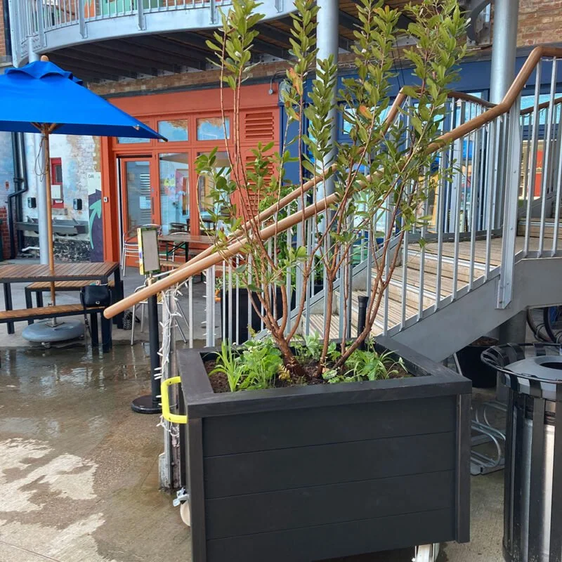 Large black planter with a young tree and smaller green plants, located outdoors near a metal staircase with buildings in the background.