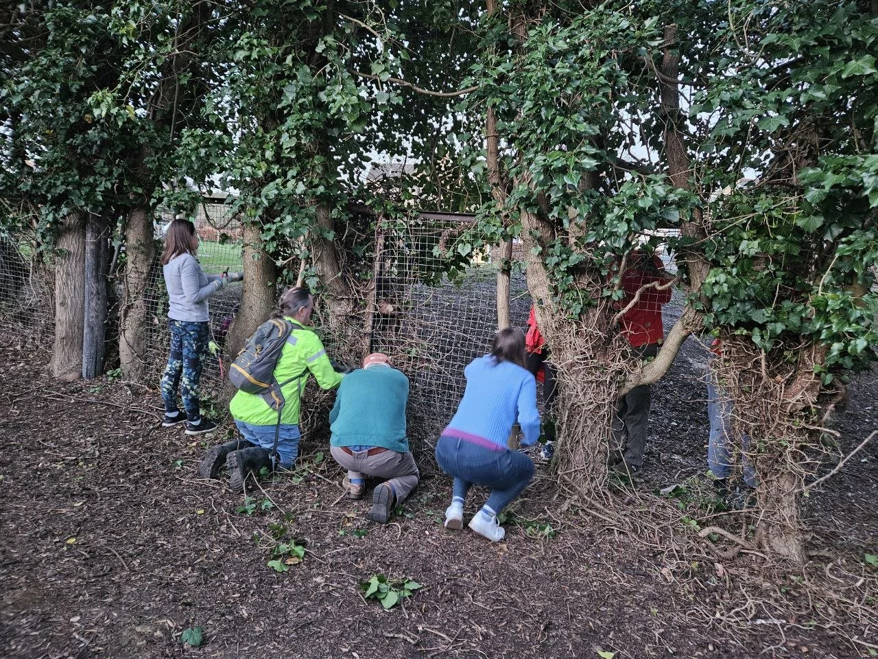 People gathered around a tree with a wire fence, some kneeling and some standing, looking through the wire fence into the tree.