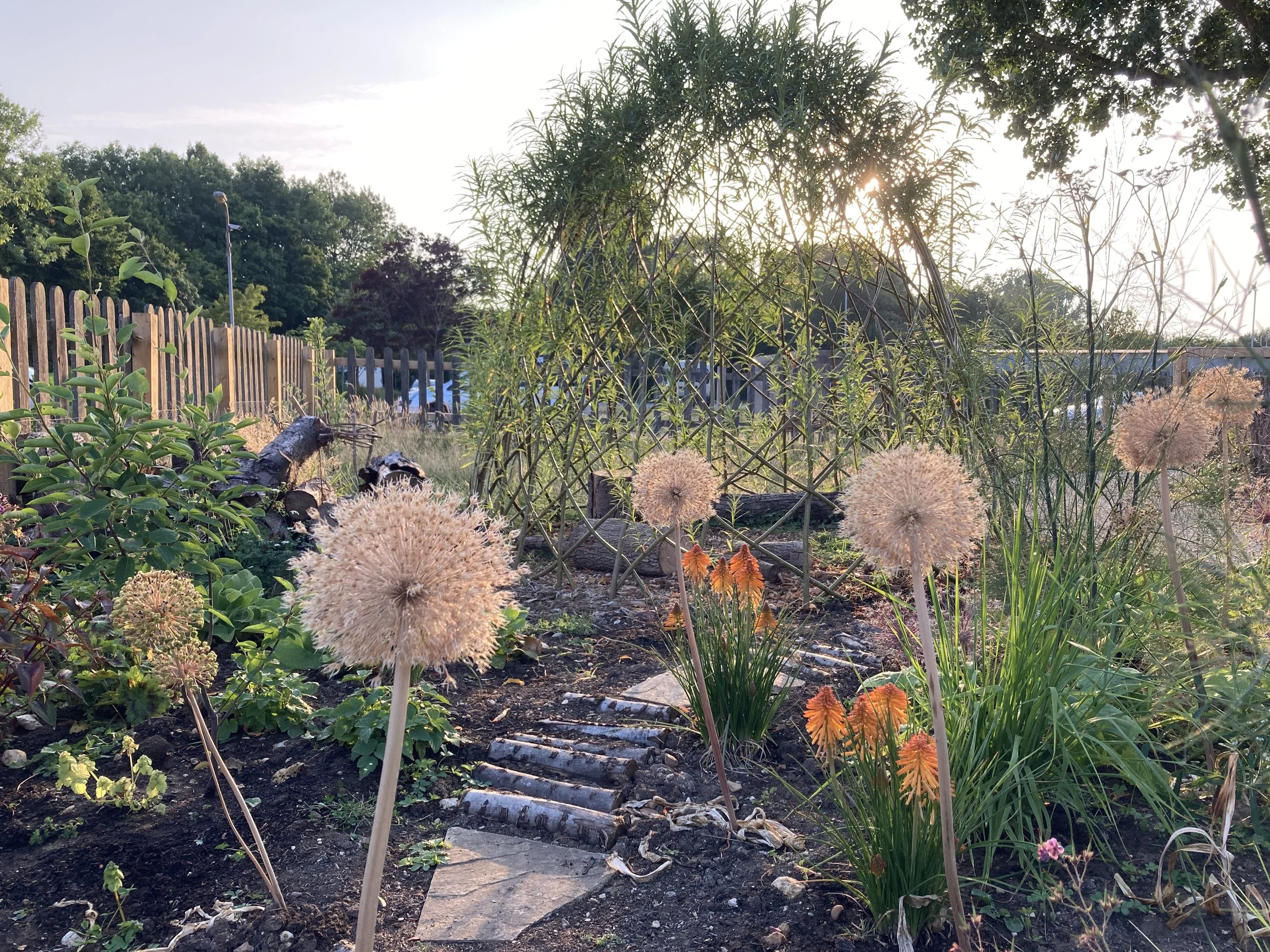 A garden scene at sunset with various plants and flowers, a wooden fence, and a streetlight, with trees in the background.