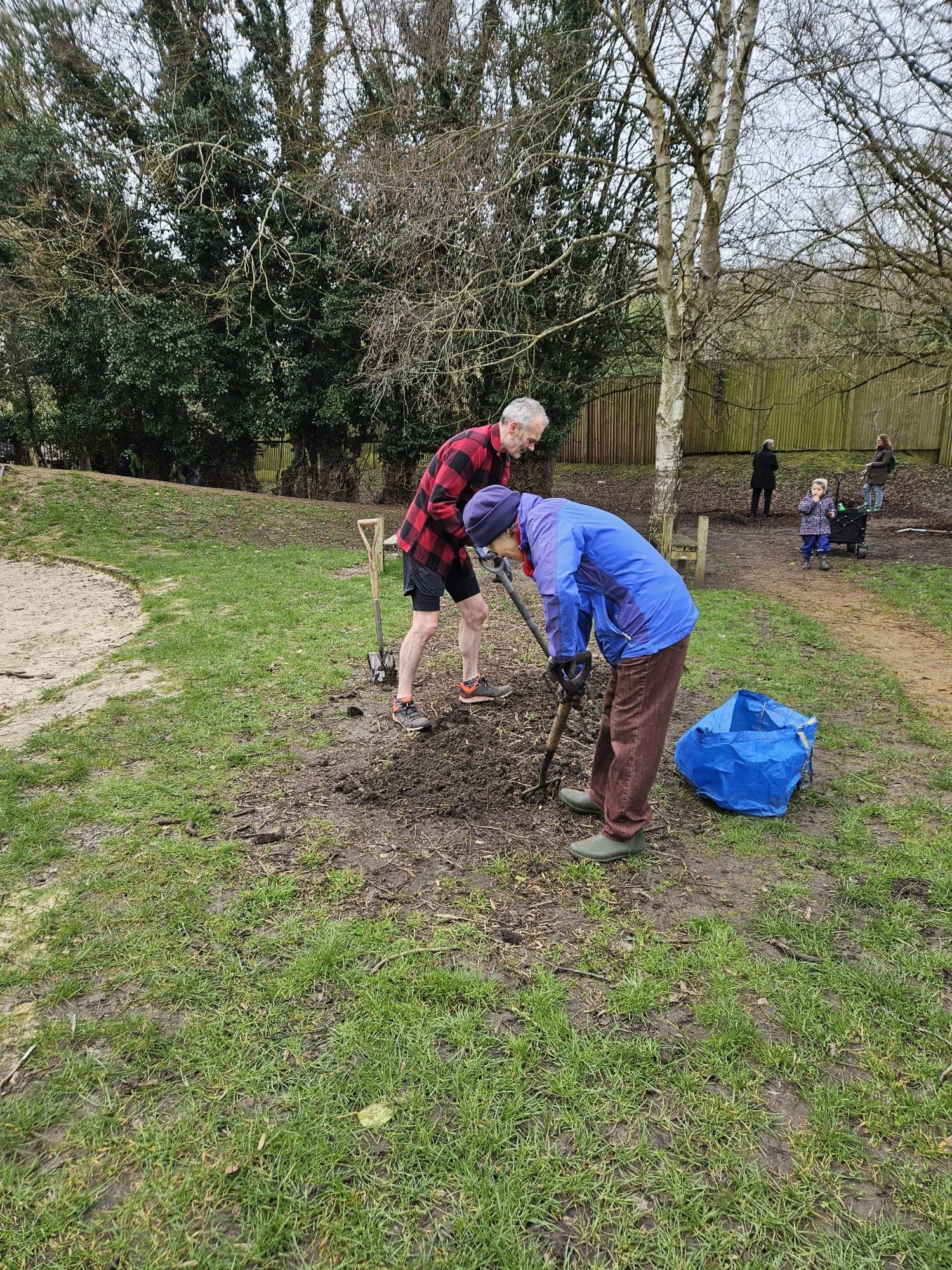 Two people planting a tree in a park, with others standing and walking in the background, overcast sky and bare trees.