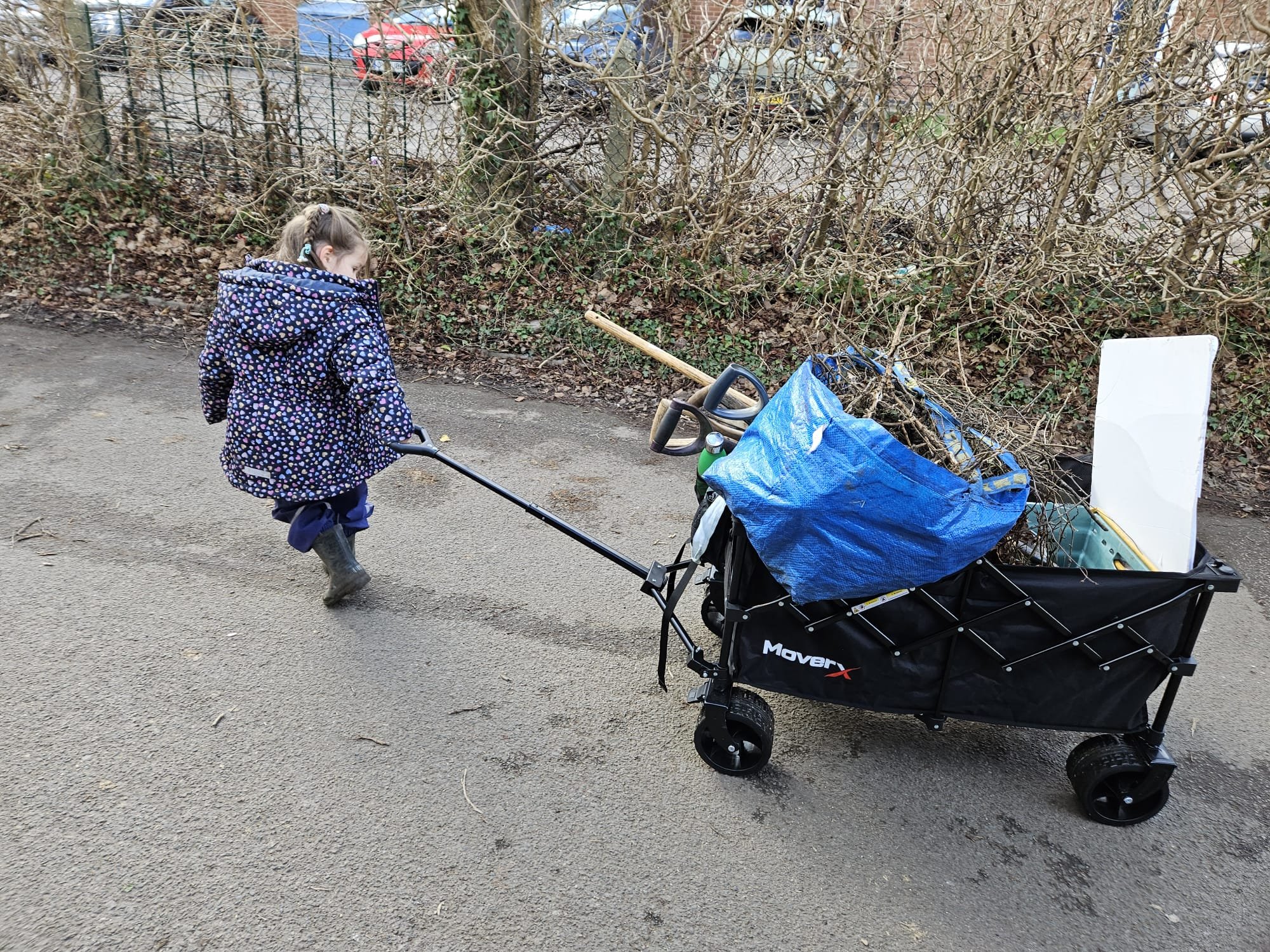 A young girl with braided hair wearing a polka dot jacket and rubber boots is pulling a black wagon filled with yard waste, including branches and leaves, along a paved sidewalk next to a leafless bush and a fence.