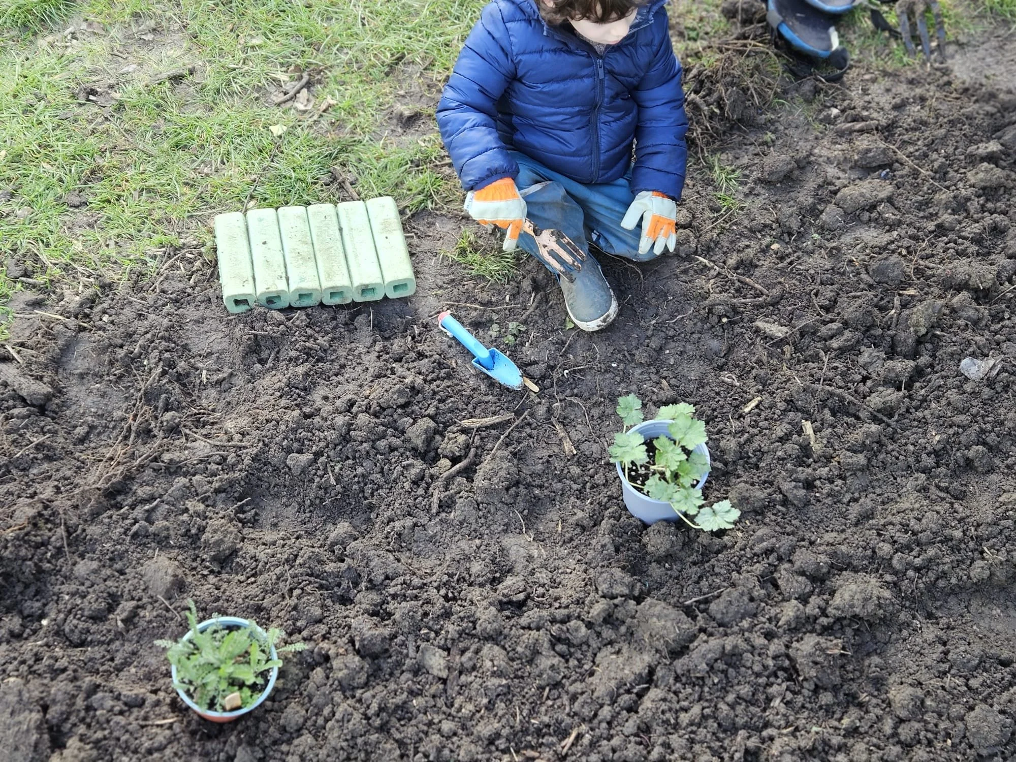 Child planting a small plant in the soil, wearing a blue jacket, with garden gloves, and surrounded by pots with plants in a garden.
