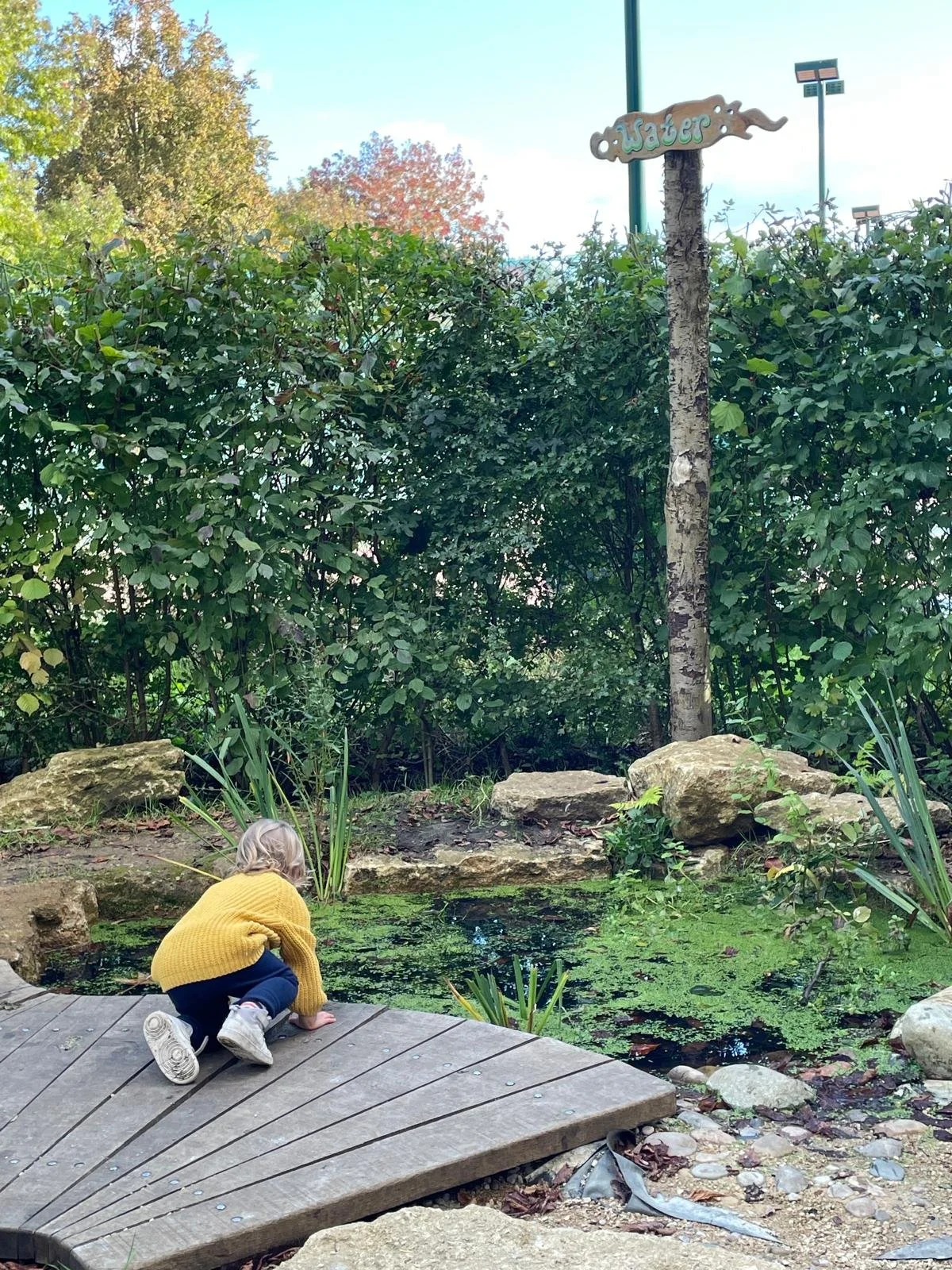 A young child with blonde hair wearing a yellow sweater, dark pants, and sneakers crouches on a wooden platform near a small pond with green algae. The pond is surrounded by rocks and plants, and a sign that says 'Water' is attached to a small tree. 