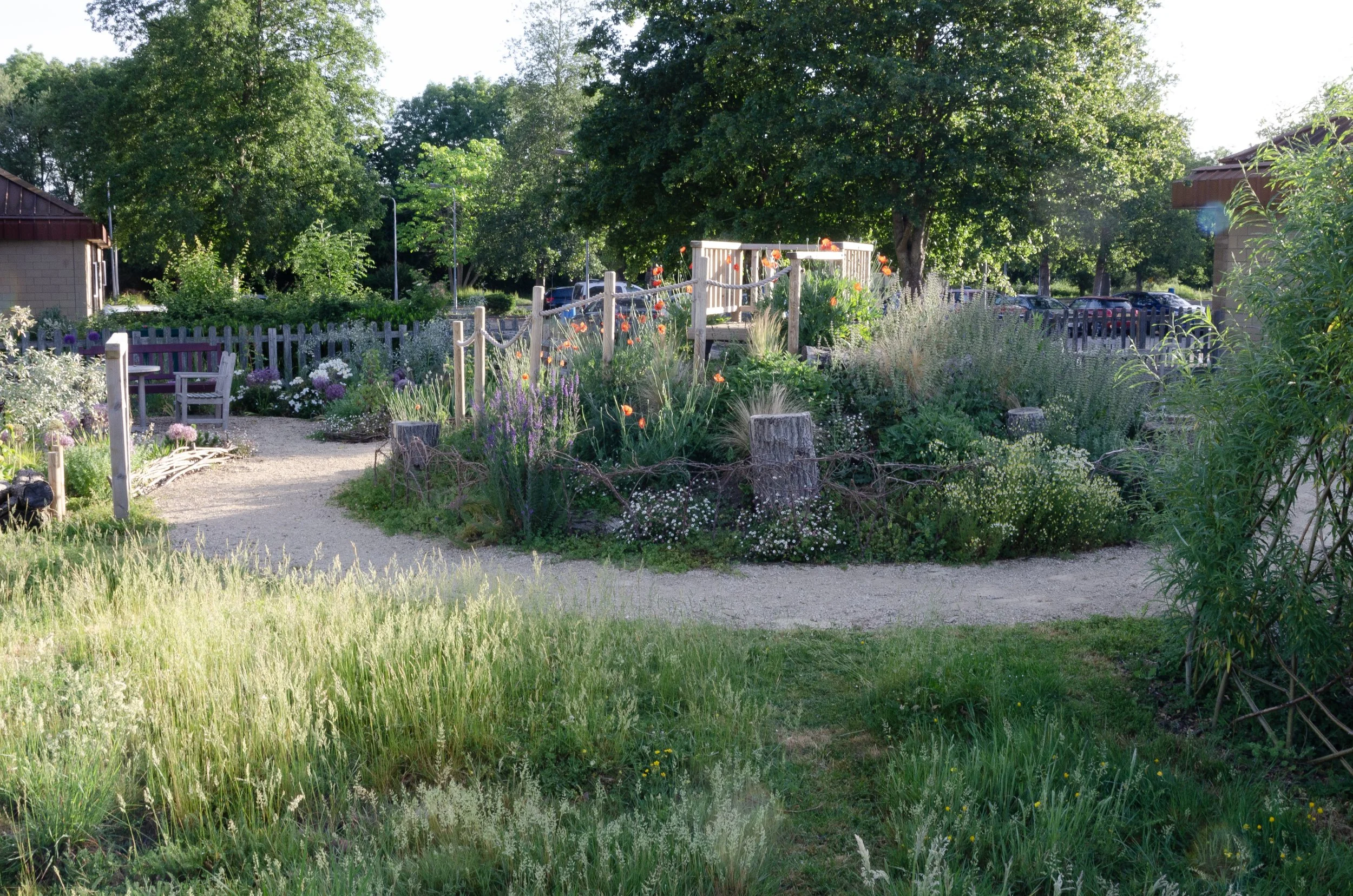 A lush garden scene with a winding dirt path, surrounded by various flowers and plants, wooden fences, trees, and a parking lot with cars in the background under bright sunlight.