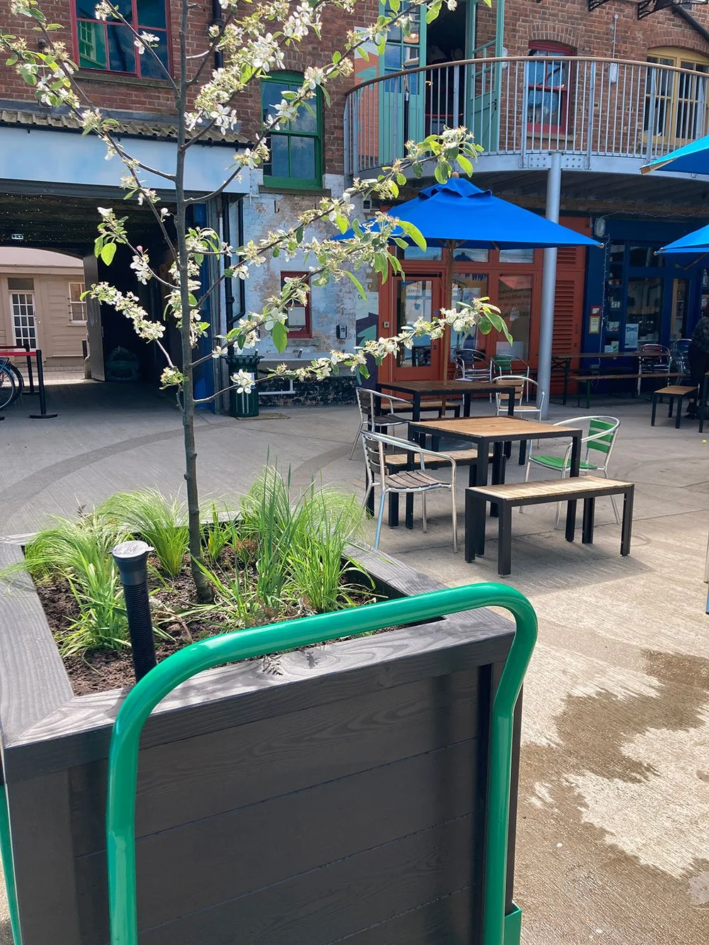 Outdoor patio with wooden tables, green and metal chairs, blue umbrellas, and a planter with a flowering tree.