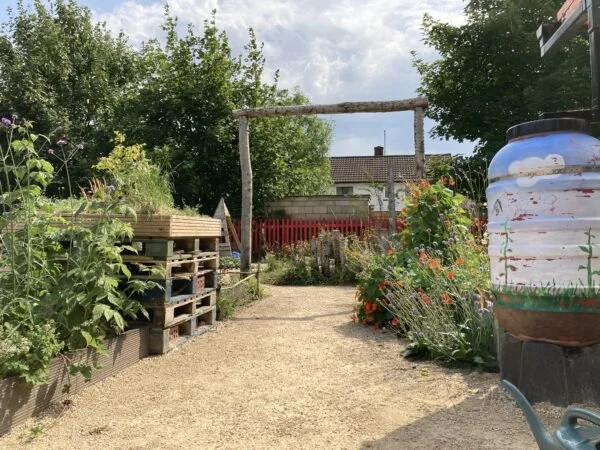 A garden path lined with various plants and flowers, wooden pallets on the left, a water barrel on the right, and a red fence with a house and trees in the background under a cloudy sky.