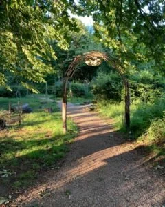 A garden or park pathway with a decorative archway covered in vines and surrounded by green trees and grass.