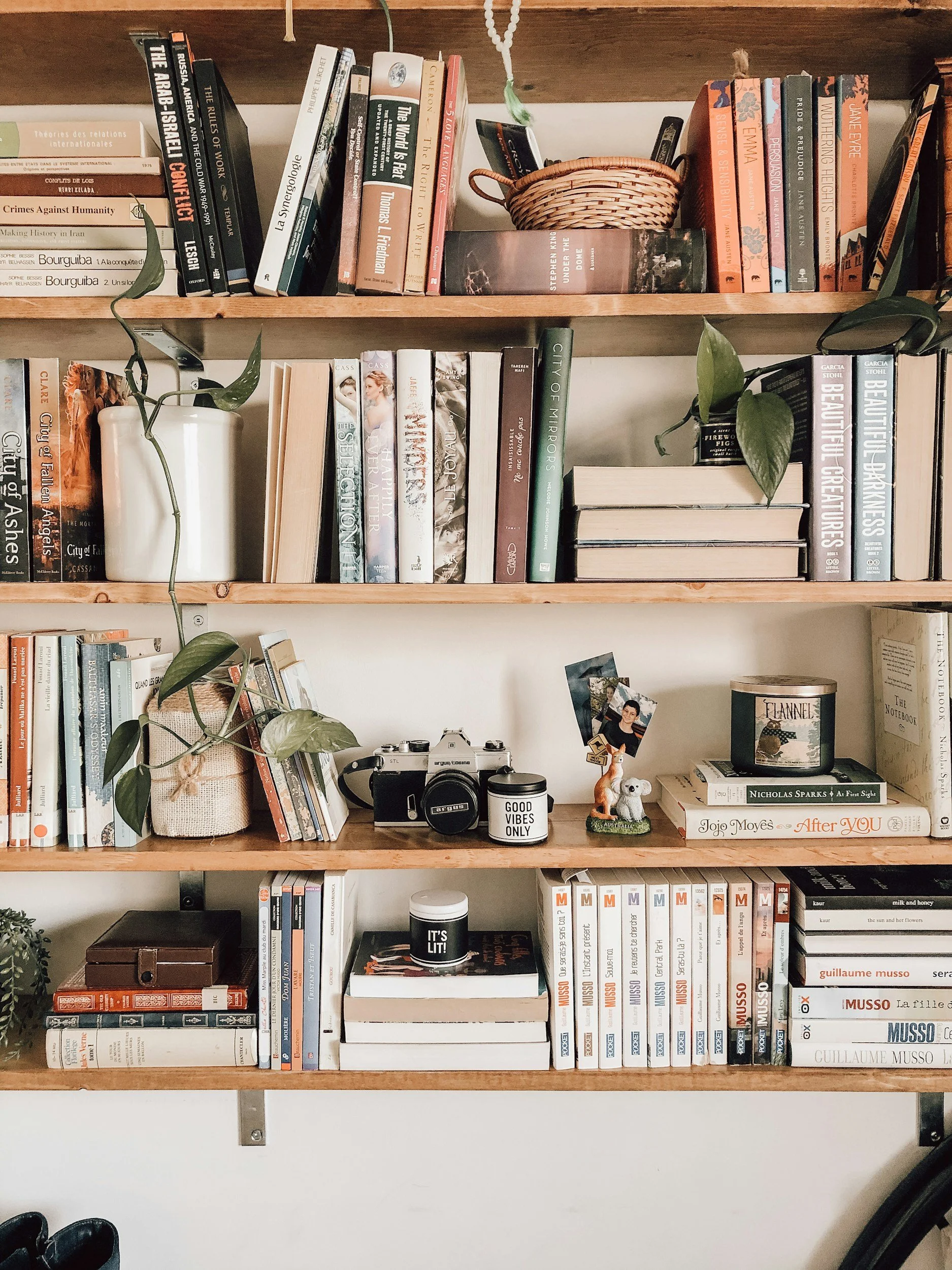 A wooden bookshelf filled with books, decorative items, and plants, with a camera, small animal figurines, and a mug on a lower shelf.