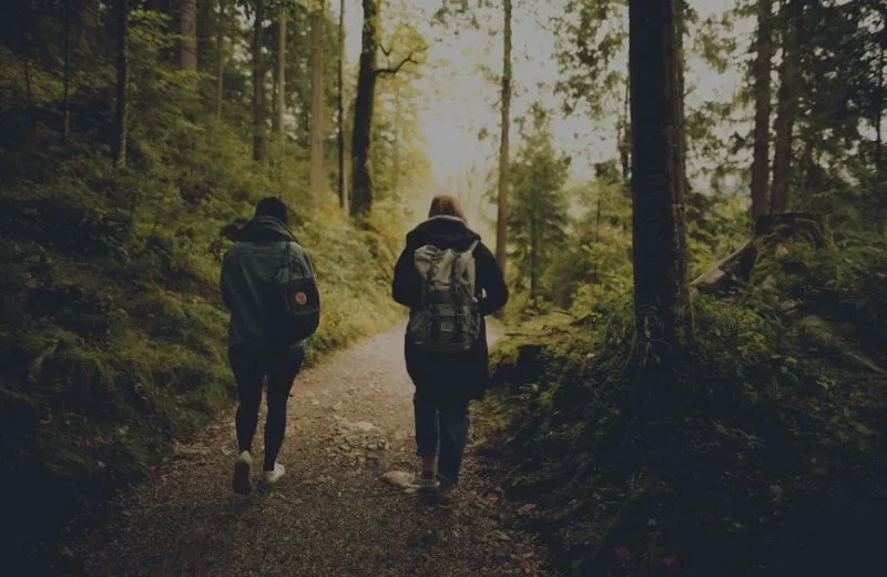 Two people walking on a forest trail surrounded by trees with sunlight filtering through the leaves.