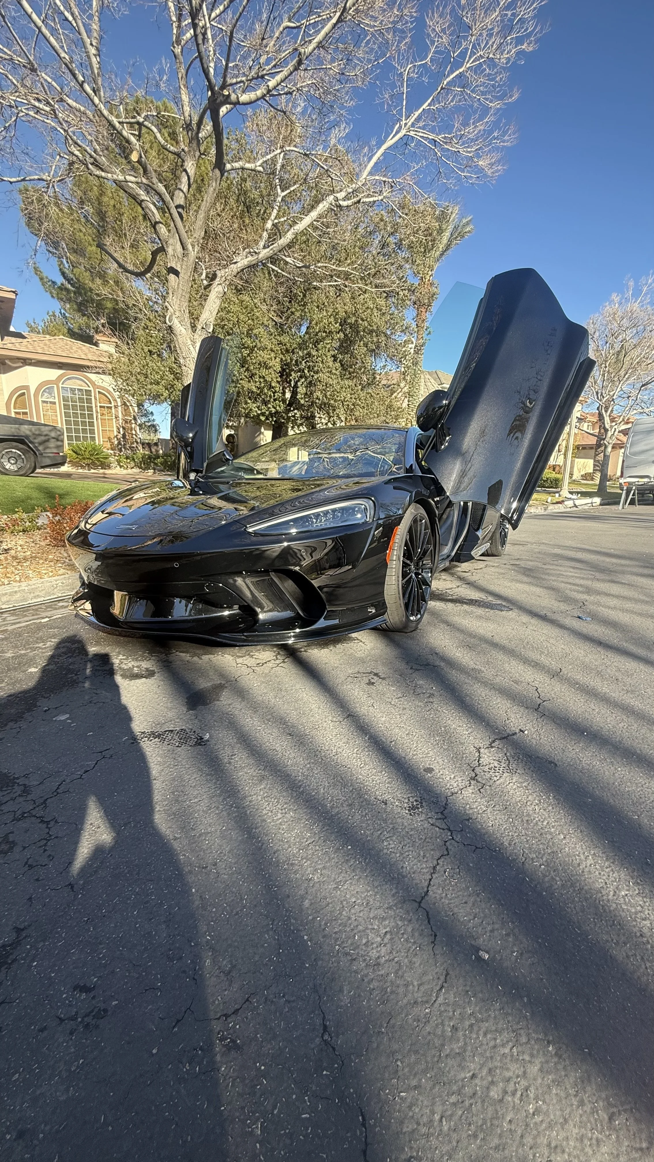 A black sports car with butterfly doors open on a paved street in a residential neighborhood during daytime, with leafless trees and houses in the background.