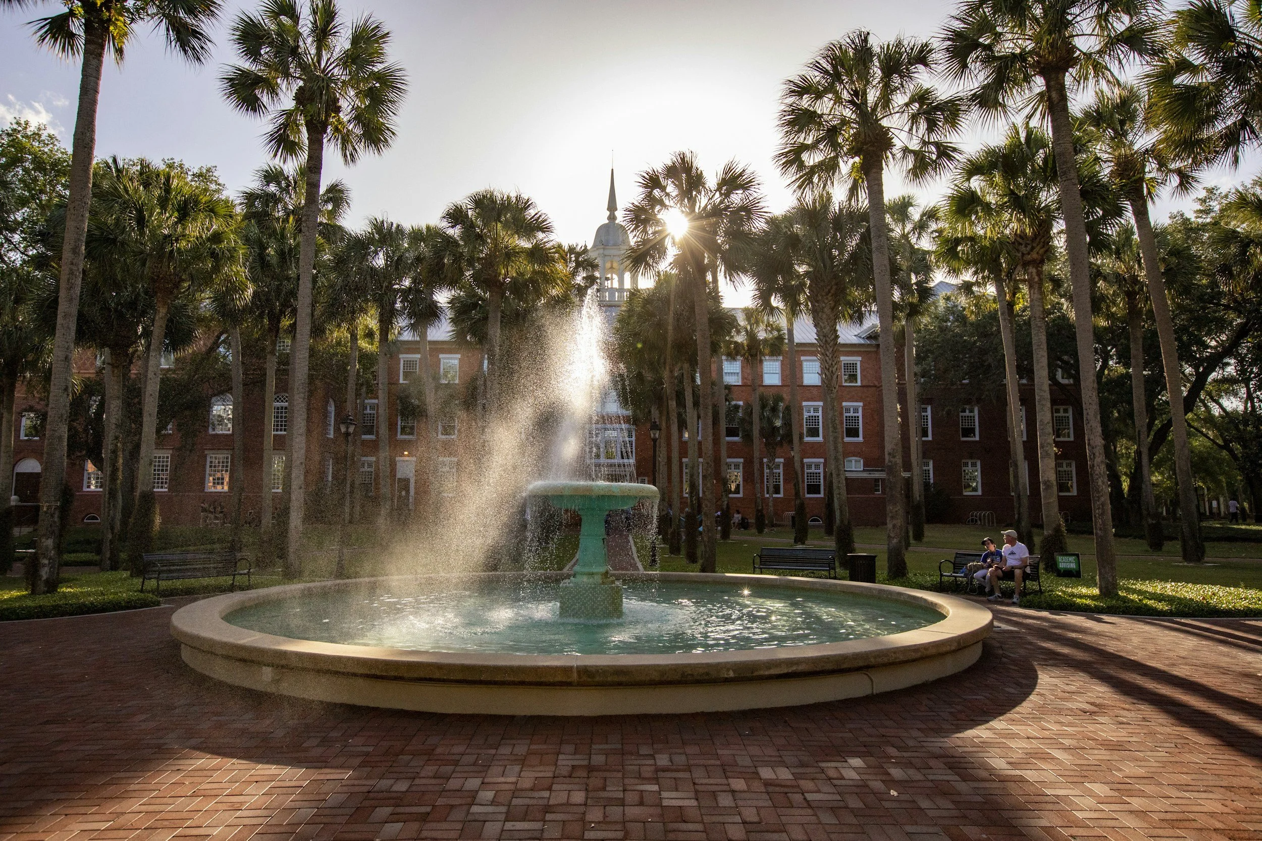 A park with a fountain in the center, surrounded by tall palm trees, brick buildings, and a few people sitting on benches.