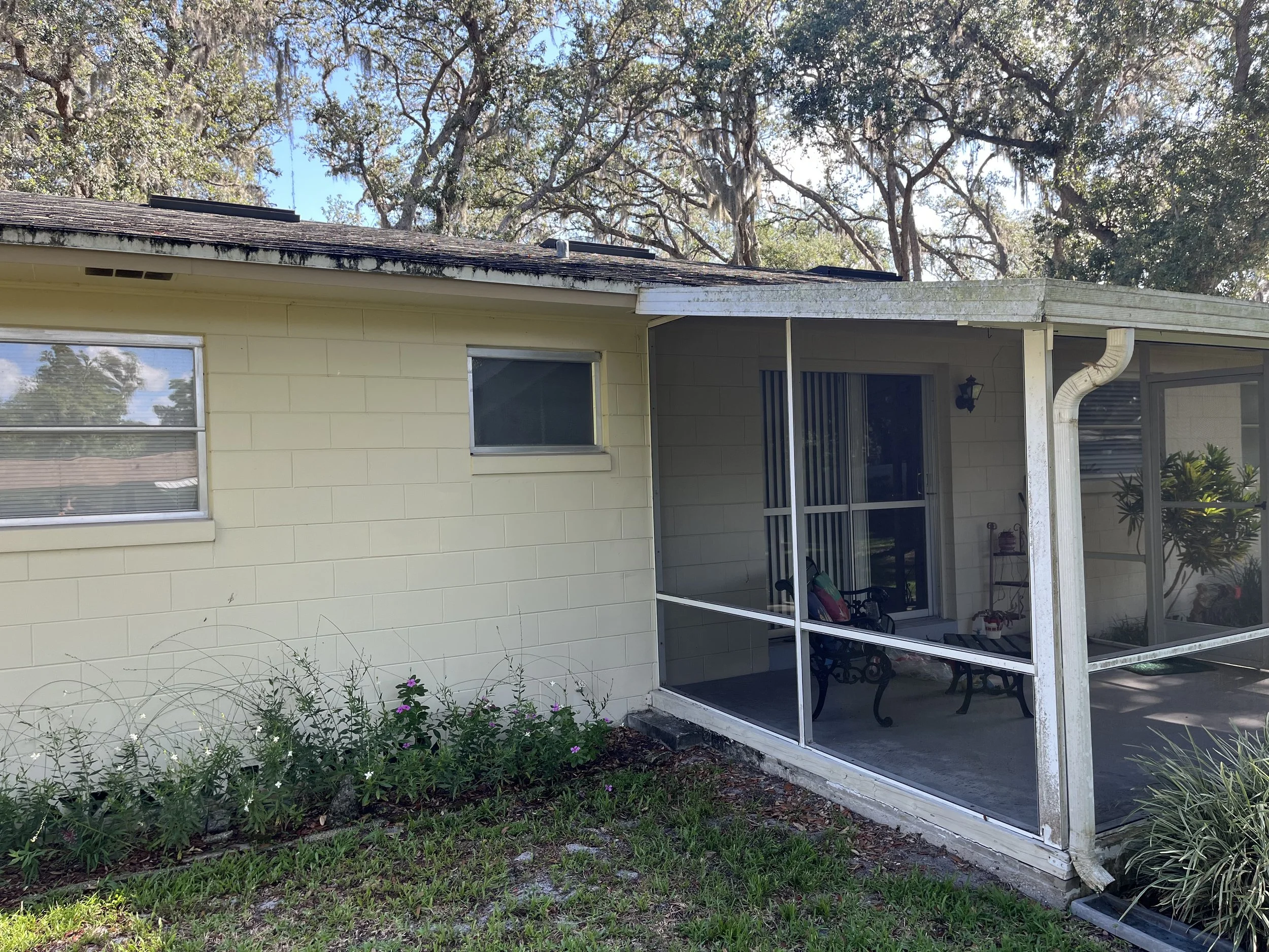 Backyard view of a yellow house with a screened porch and two small windows, surrounded by plants and trees, with a clear blue sky in the background.