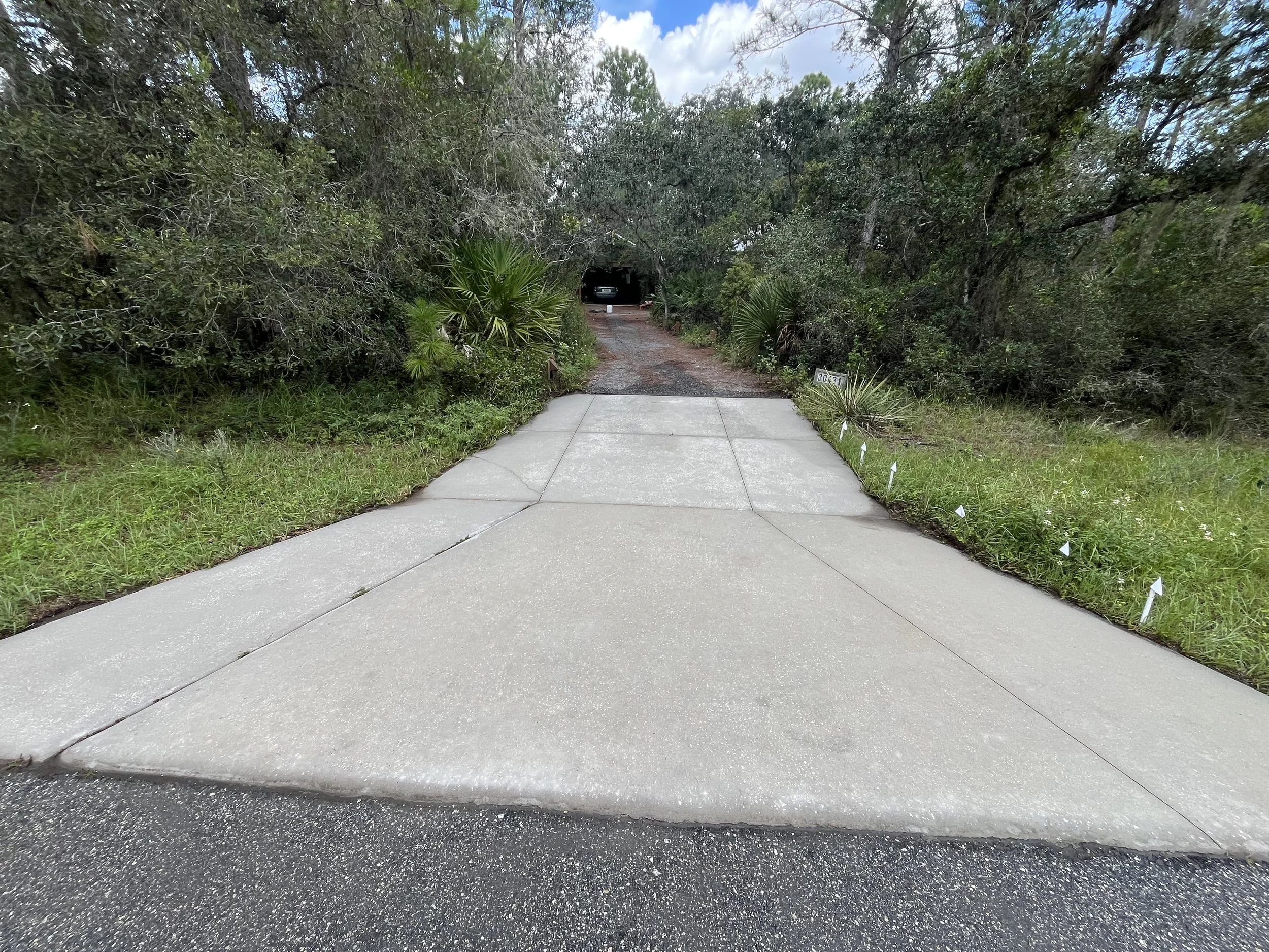 A concrete driveway leading into a shaded, wooded area with a car parked under the trees in the background.
