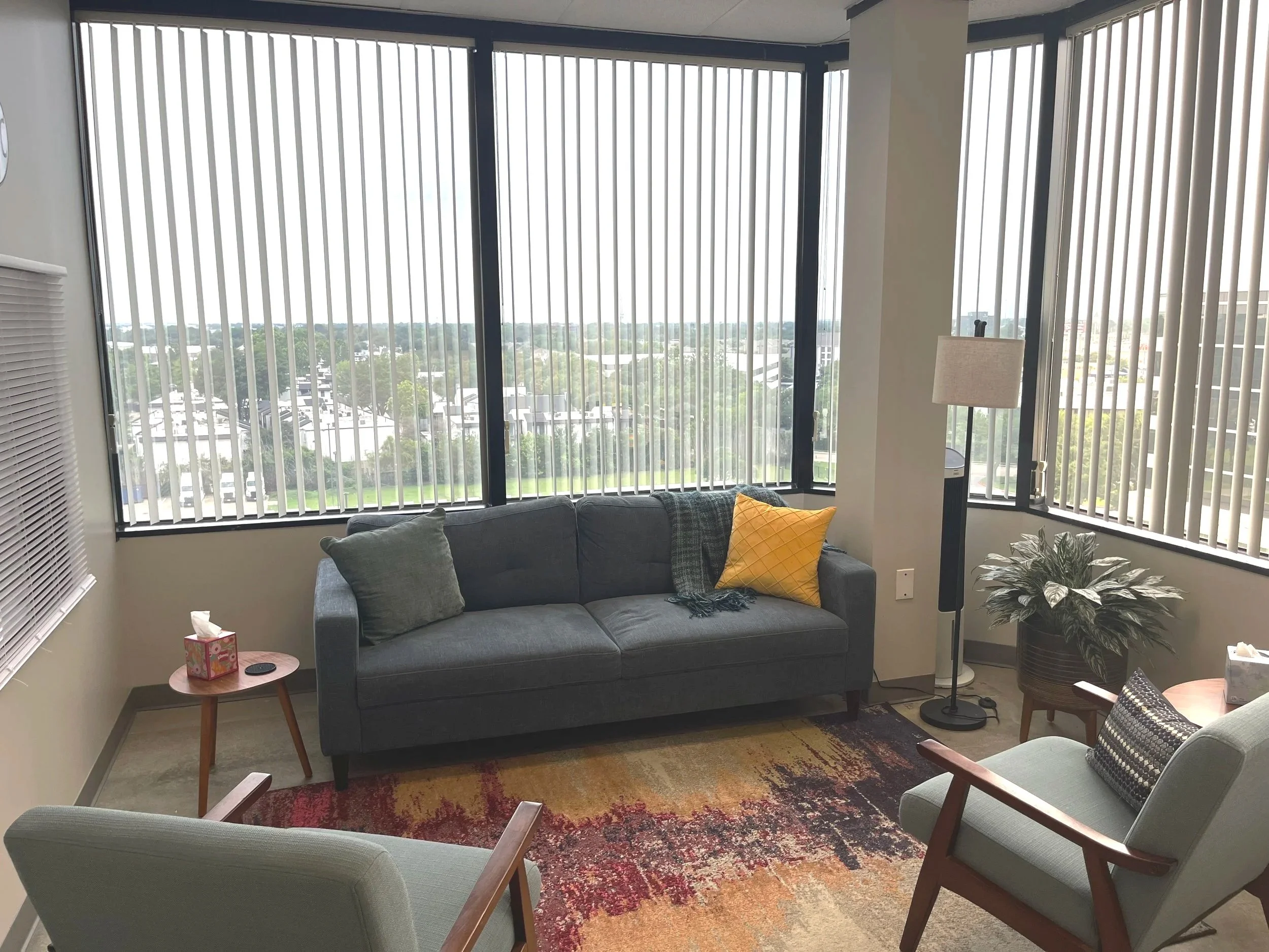 Living room with large windows, gray sofa with pillows, armchair, side table with tissue box and remote, tall floor lamp, plant, and colorful area rug.