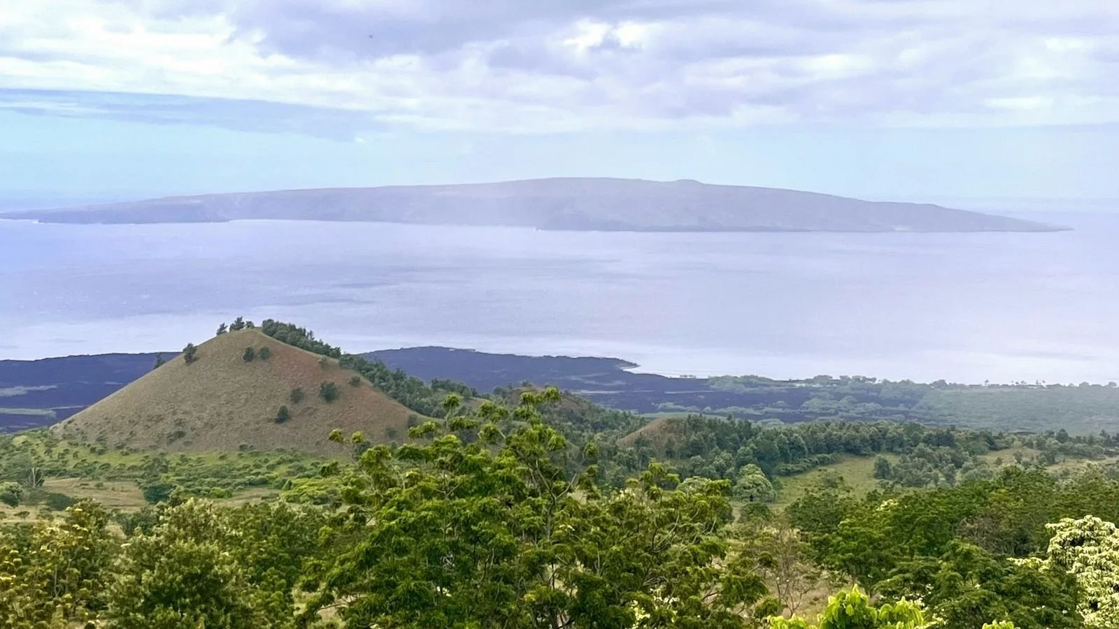 Scenic view from a hilltop overlooking rolling green hills, a calm bay, and a distant island beneath a cloudy sky.