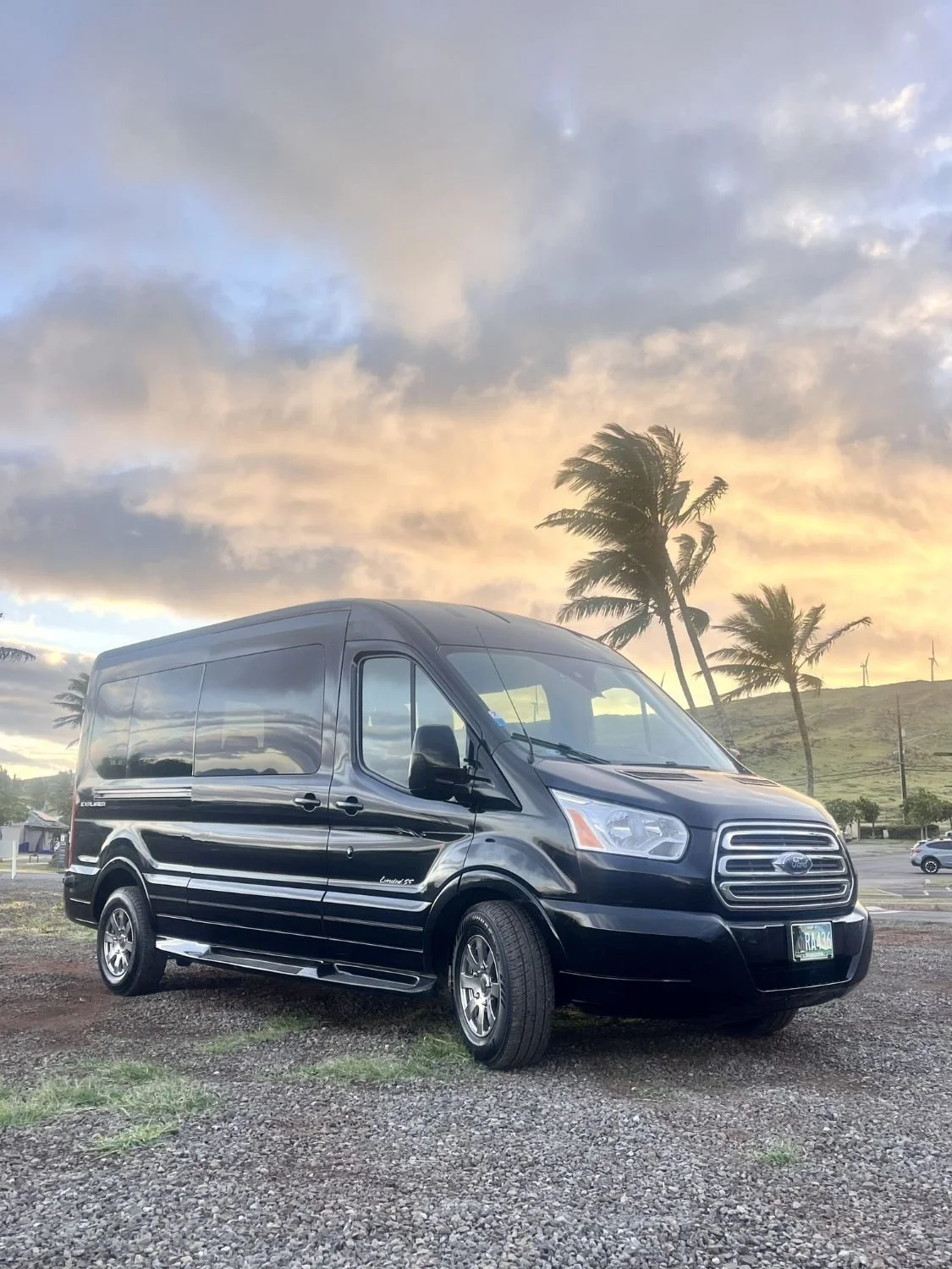 A black passenger van parked beside swaying palm trees during sunset, ready for island transportation or private tours.