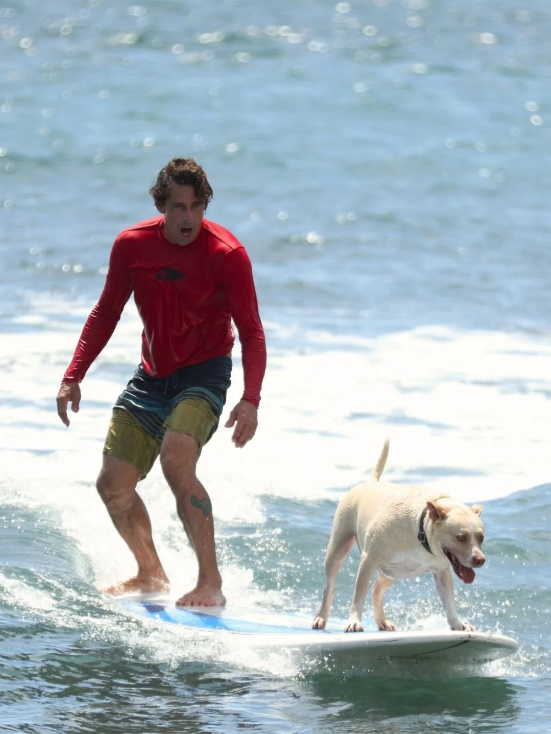 Yancey while surfing with his dog.
