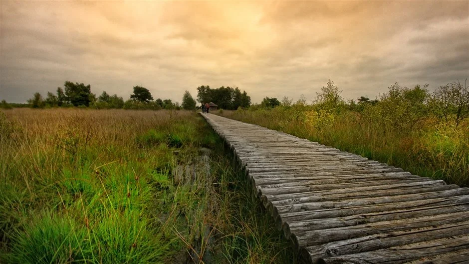 Nationaal_park_de_Peel_5.jpg