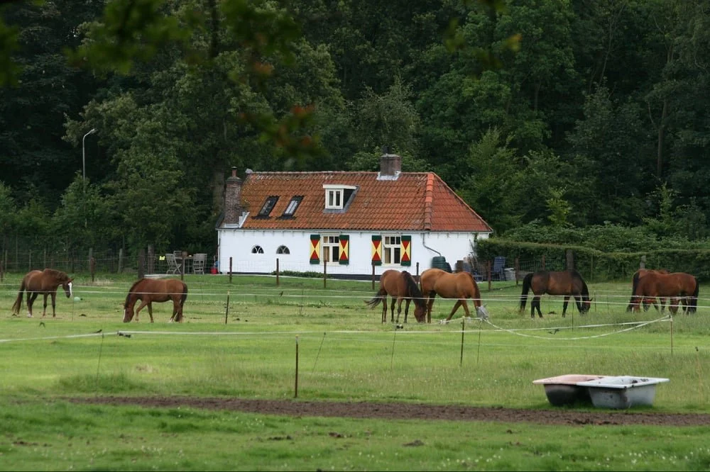 Het Luikje