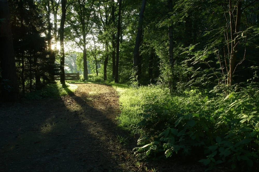 Bungalowpark Wolferswoud & Het Vossenveen 01.jpg
