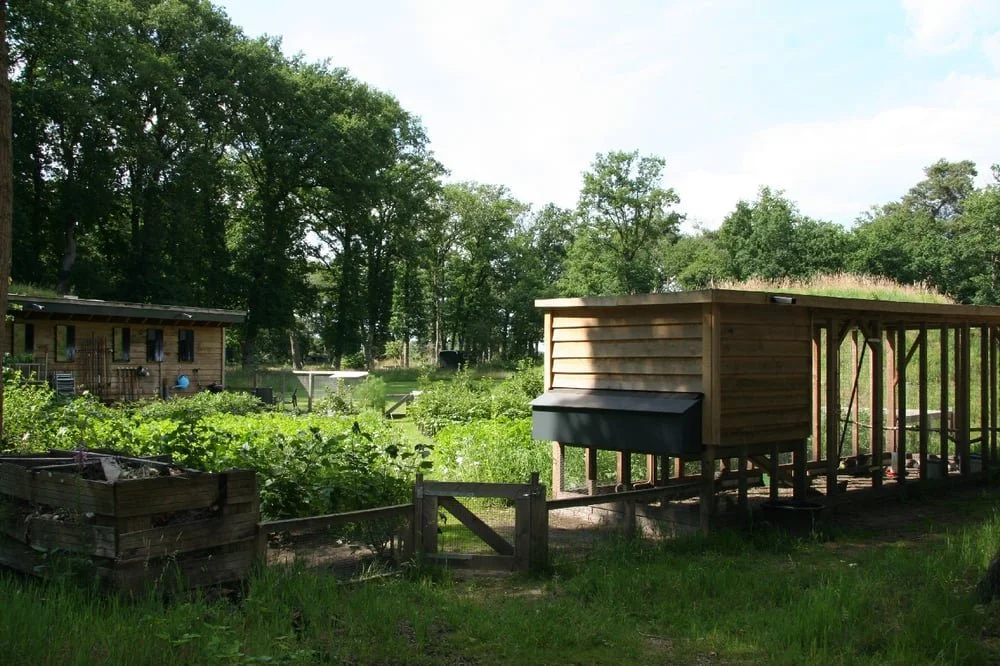 In de Heuvelrug 04.jpg