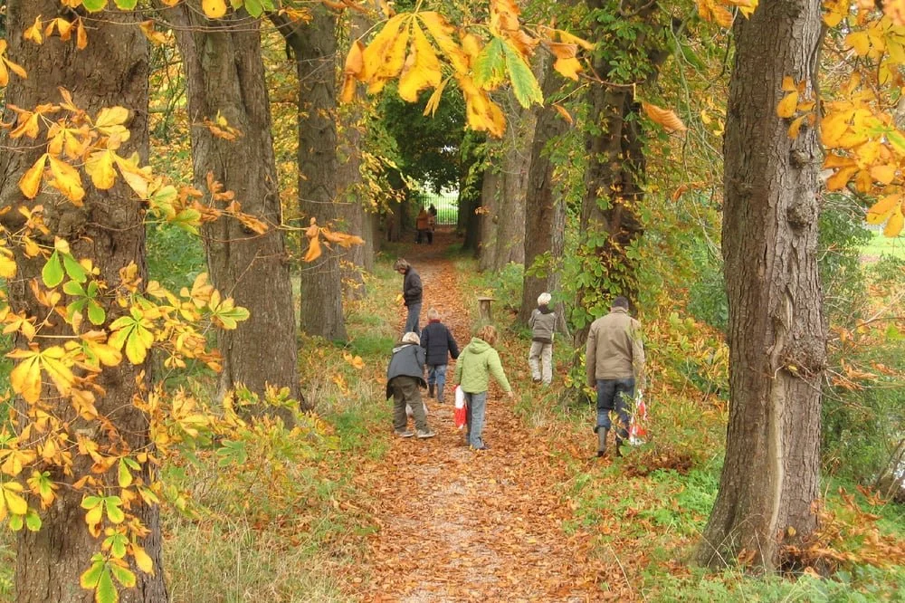 Dekema State 05.jpg