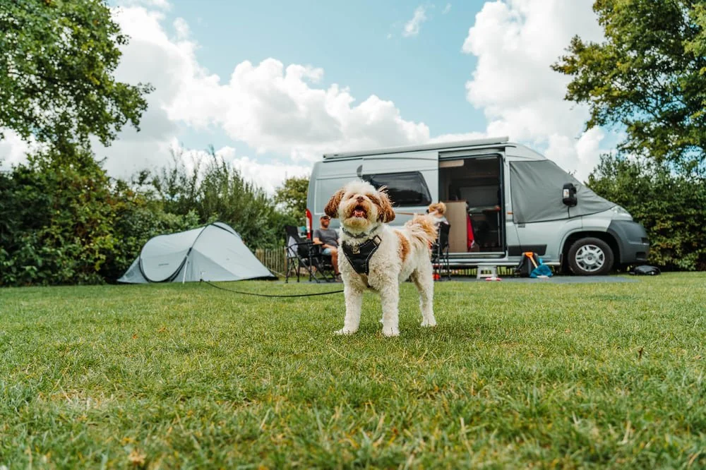 Camping Den Molinshoeve