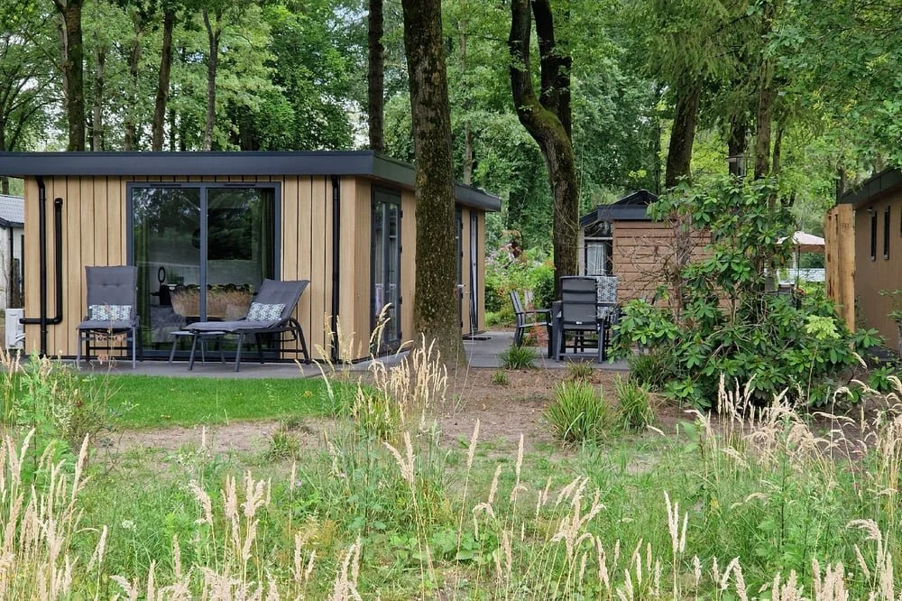 Wood386 Bosrand Veluwe
