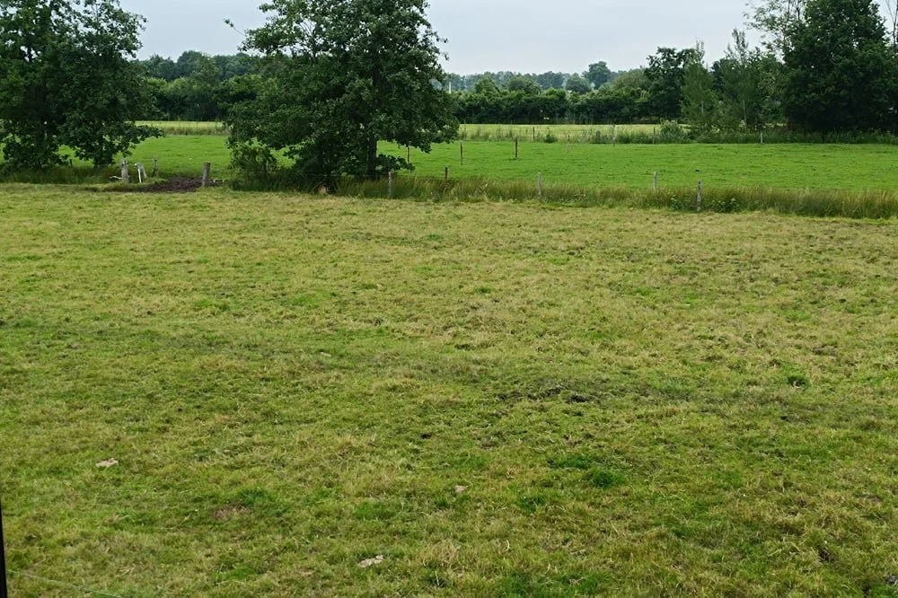 De Perenhoeve Suites 05.jpg