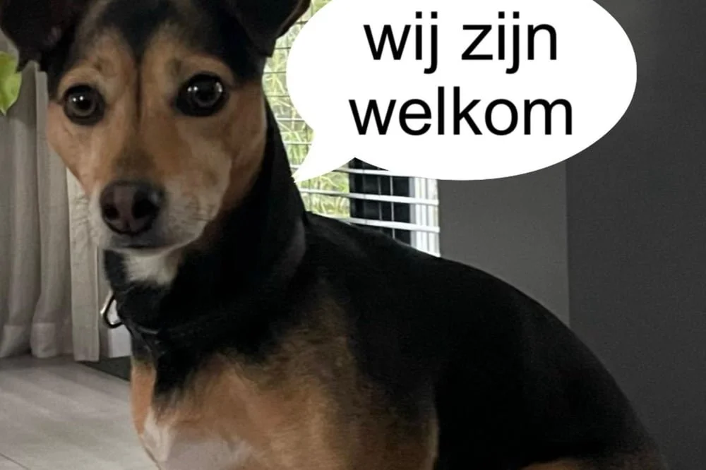 Egmonds Vakantiehuis Duin 05.jpg