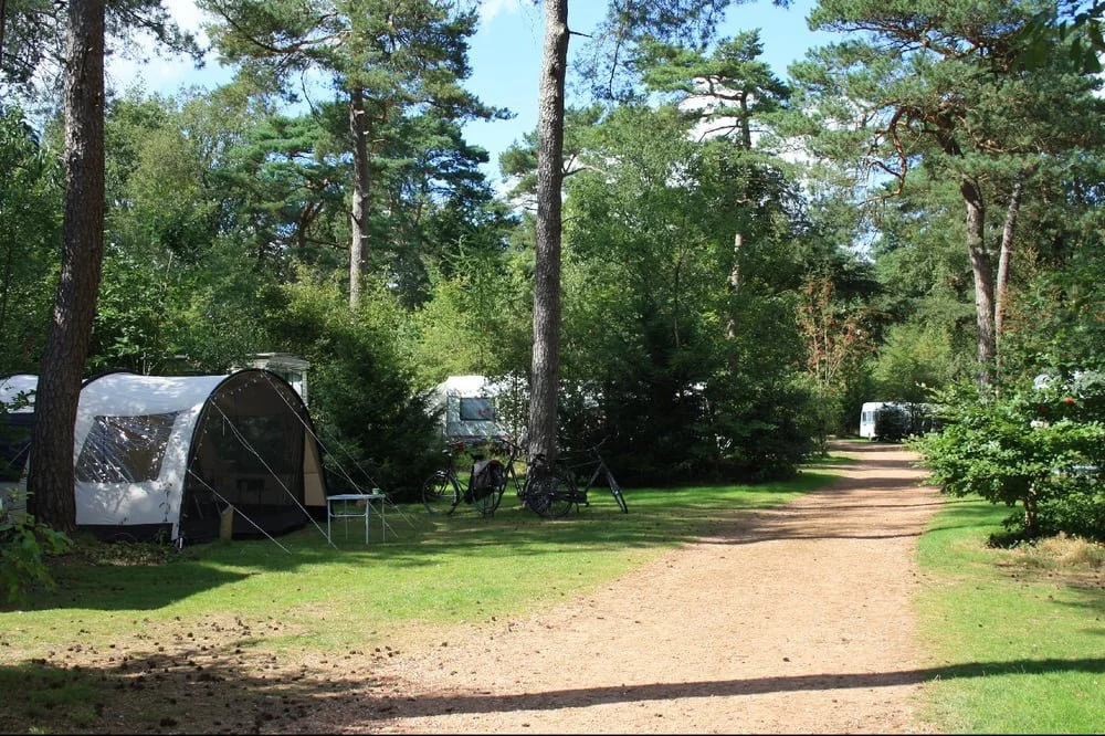 Camping Diever 02.jpg