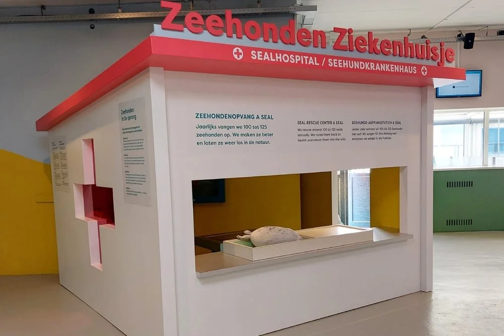 A Seal Zeehondenopvang 04.jpg