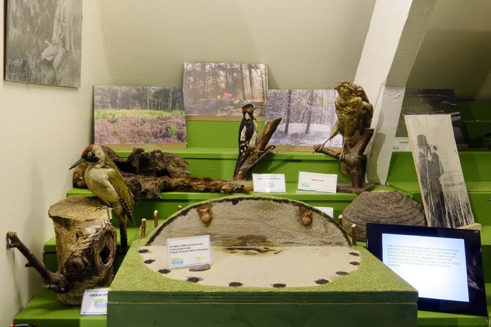 Museum Soest 04.jpg