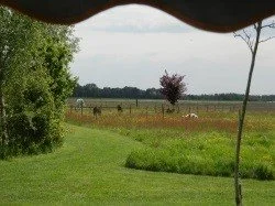 Landschapscamping Het Veentieshof 02.jpg